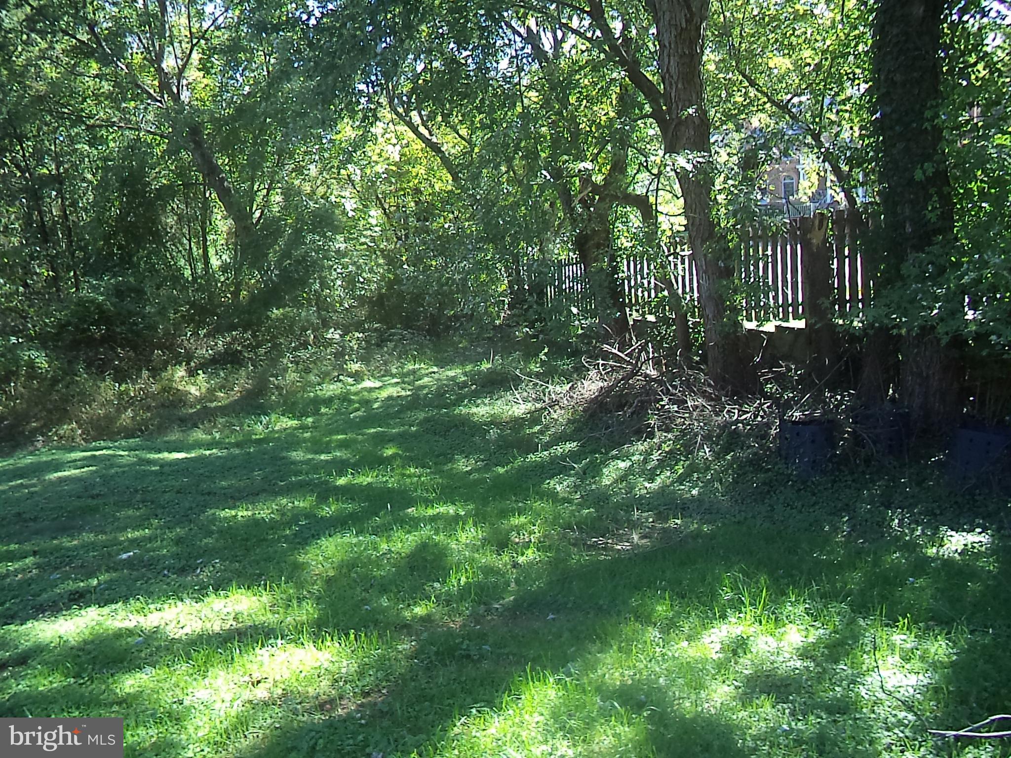 POTOMAC OUTSIDE - Land