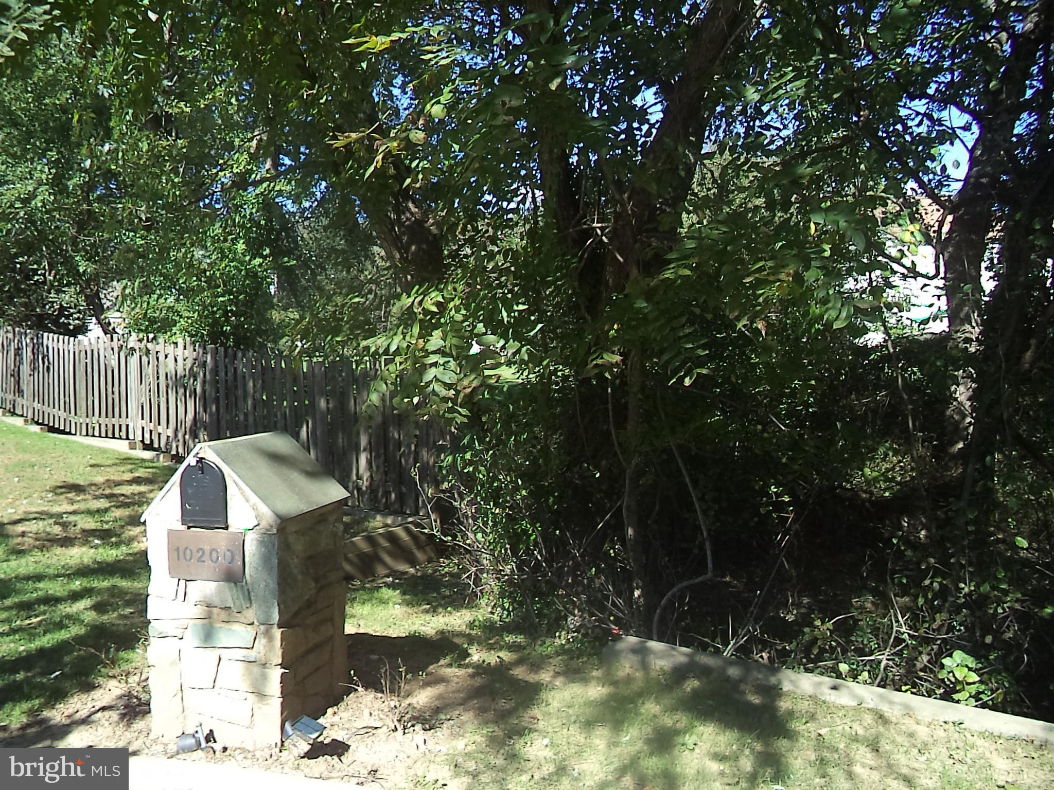 POTOMAC OUTSIDE - Land