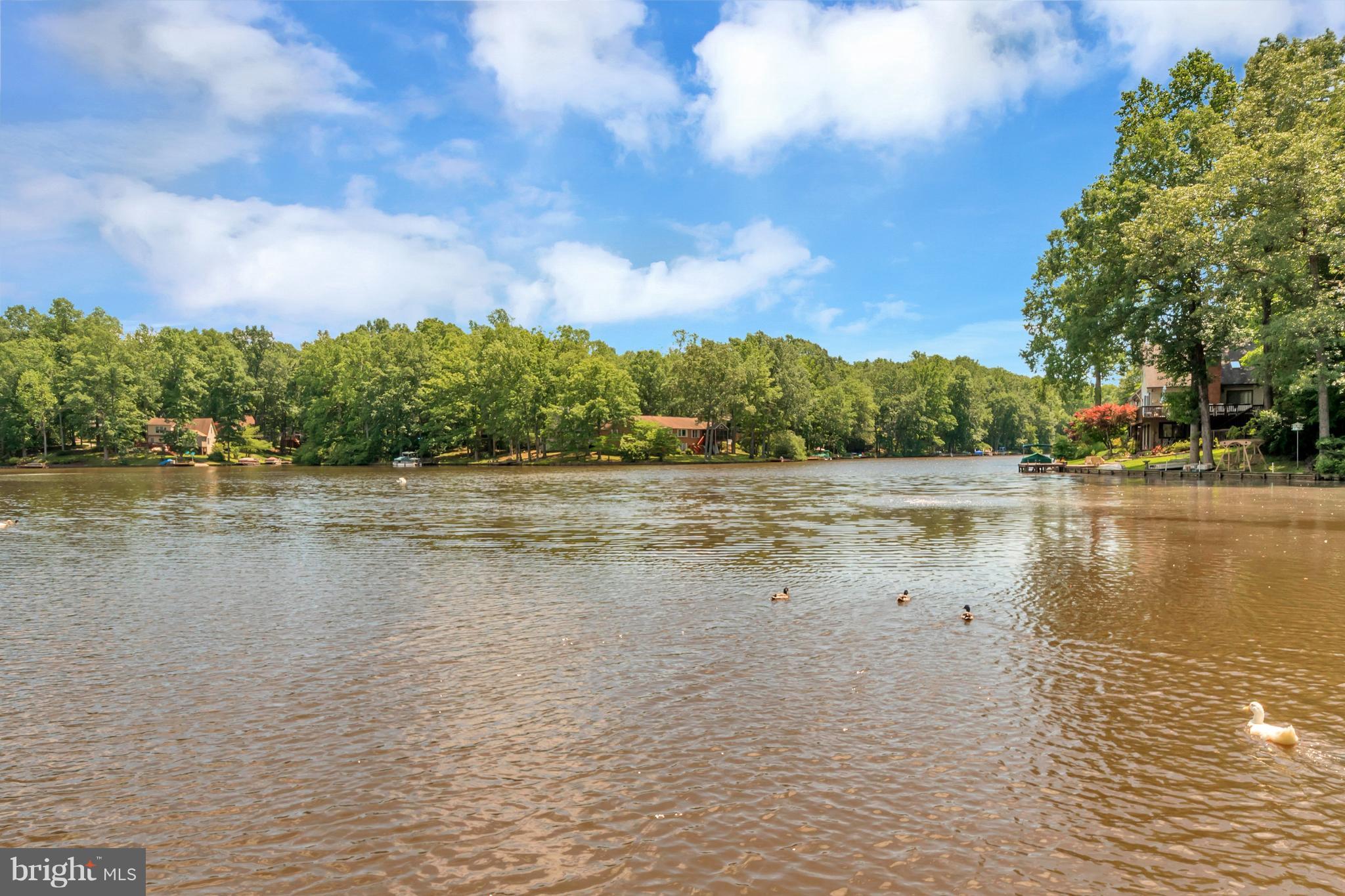 LAKE OF THE WOODS - Residential
