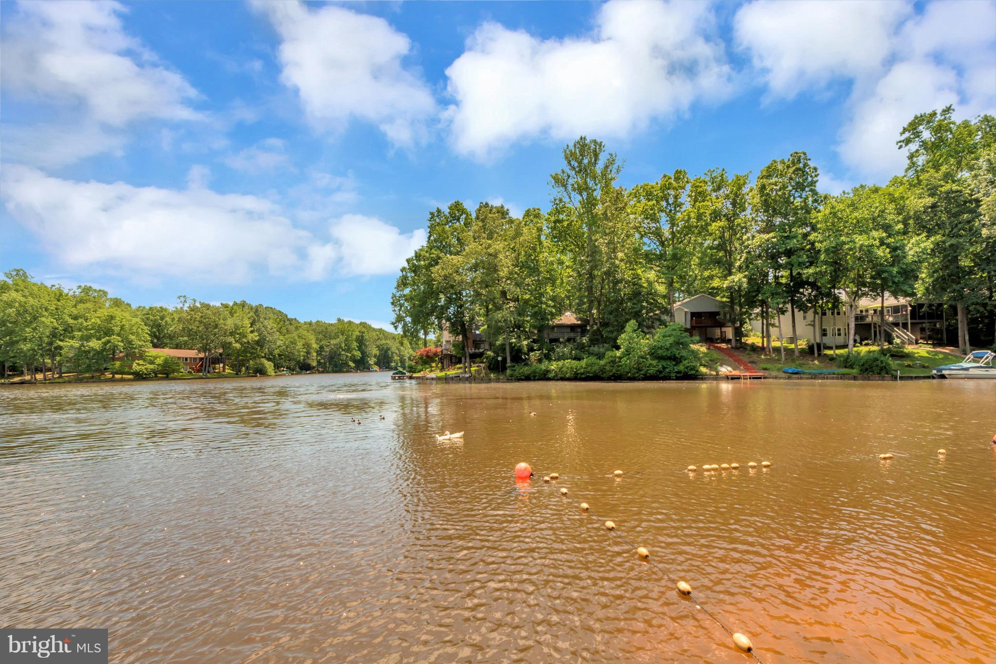LAKE OF THE WOODS - Residential