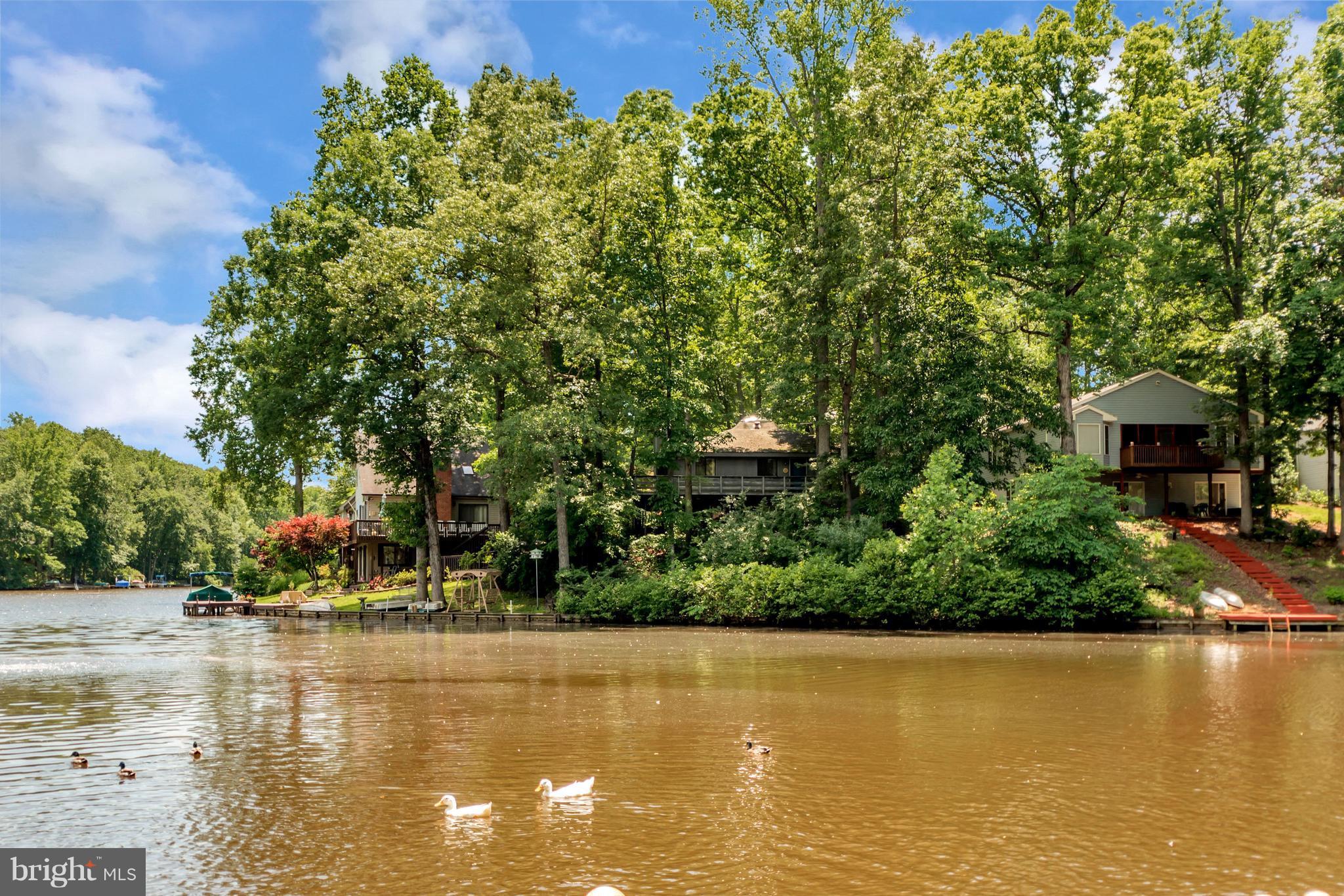 LAKE OF THE WOODS - Residential