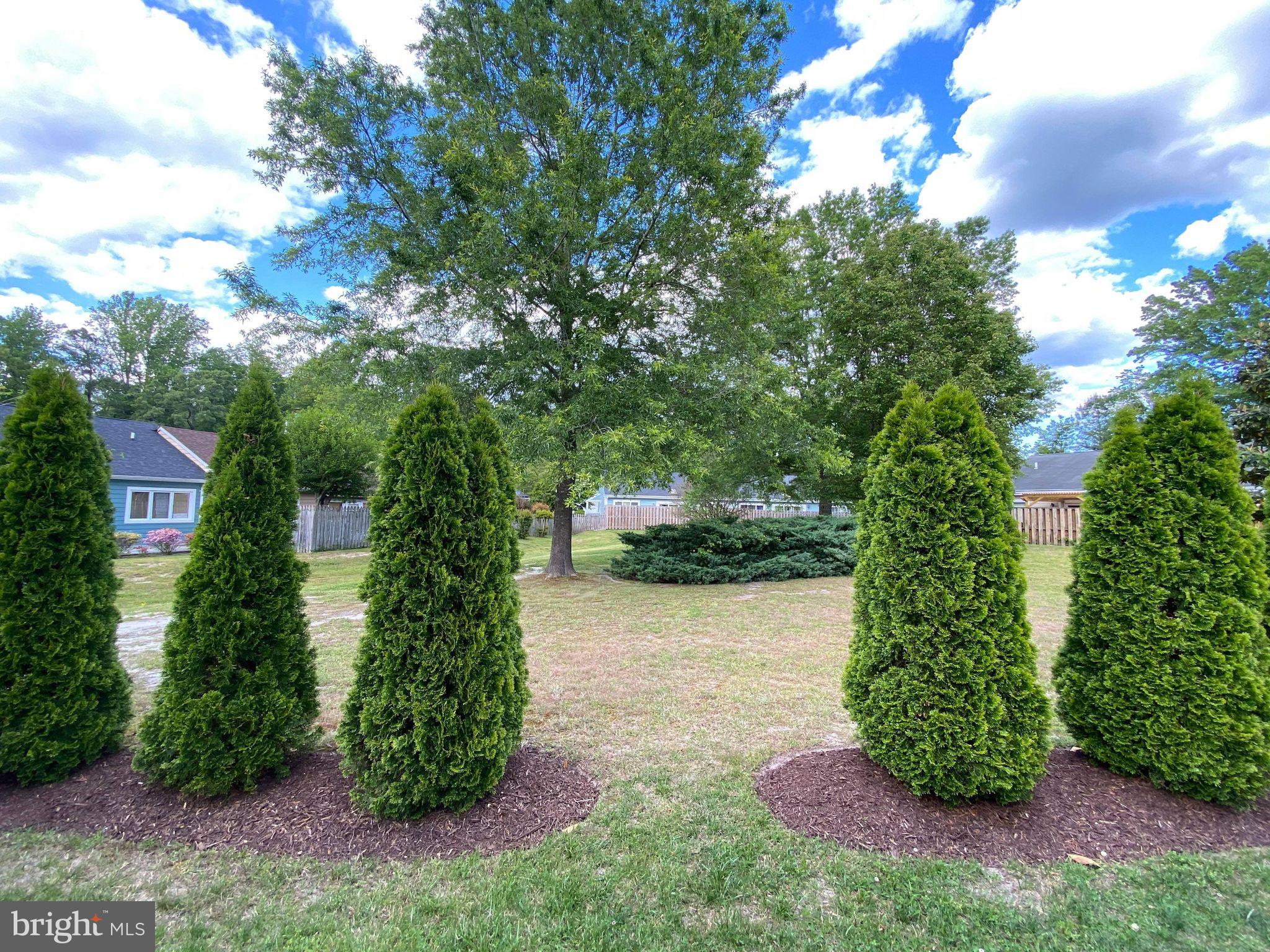 SPRING CHASE - Residential