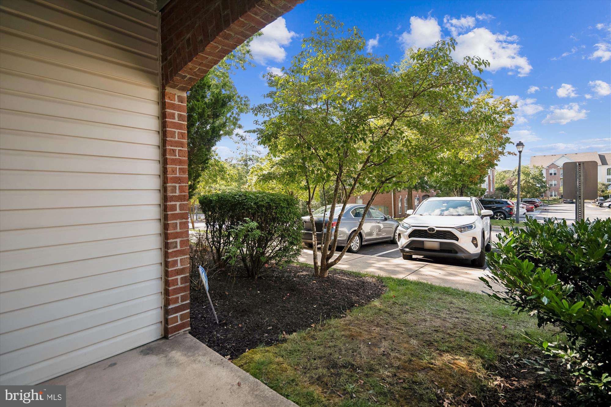 CHESTNUT TERRACE - Residential