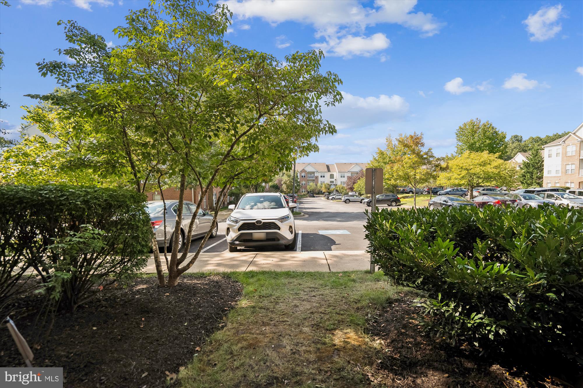 CHESTNUT TERRACE - Residential