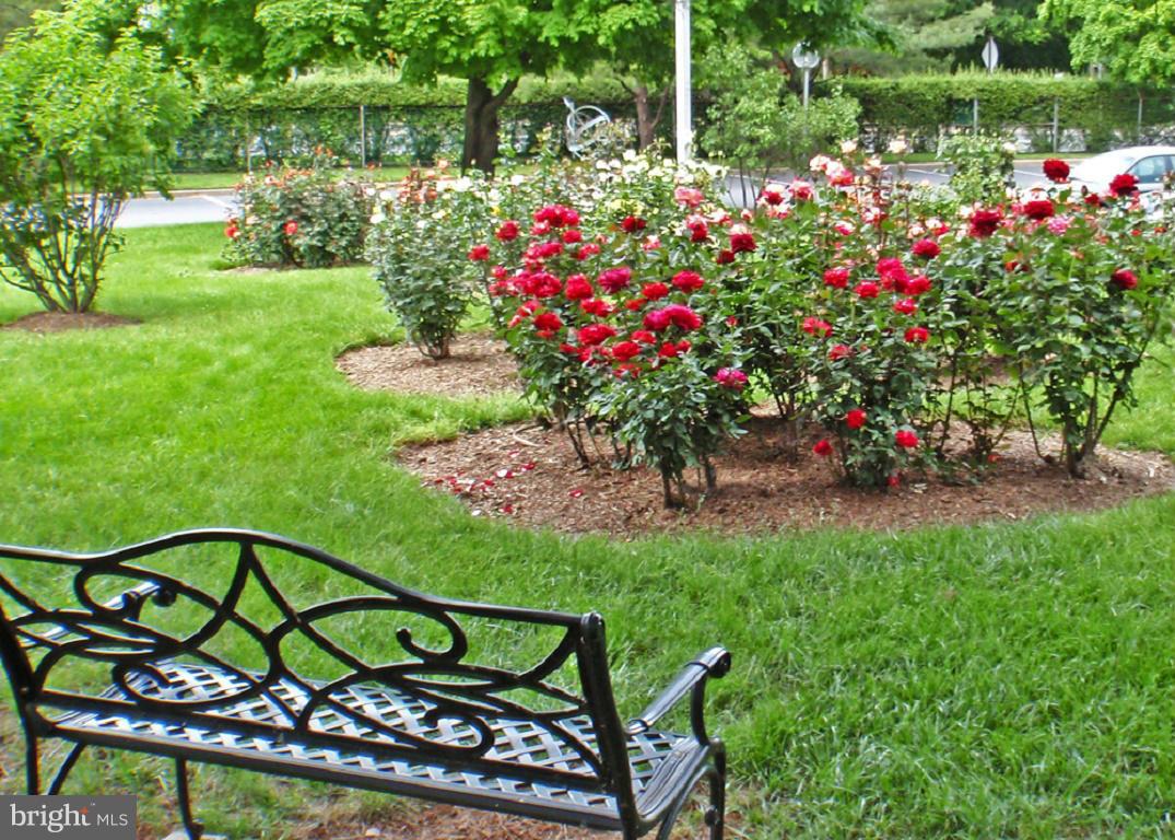 HUNTING CREEK CLUB CONDOMINIUMS - Residential