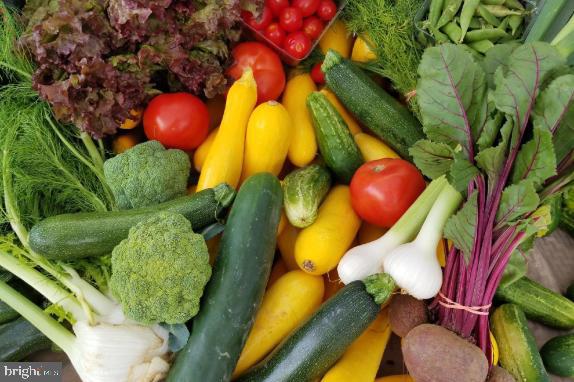 COURTLANDS AT CASCADES - Residential