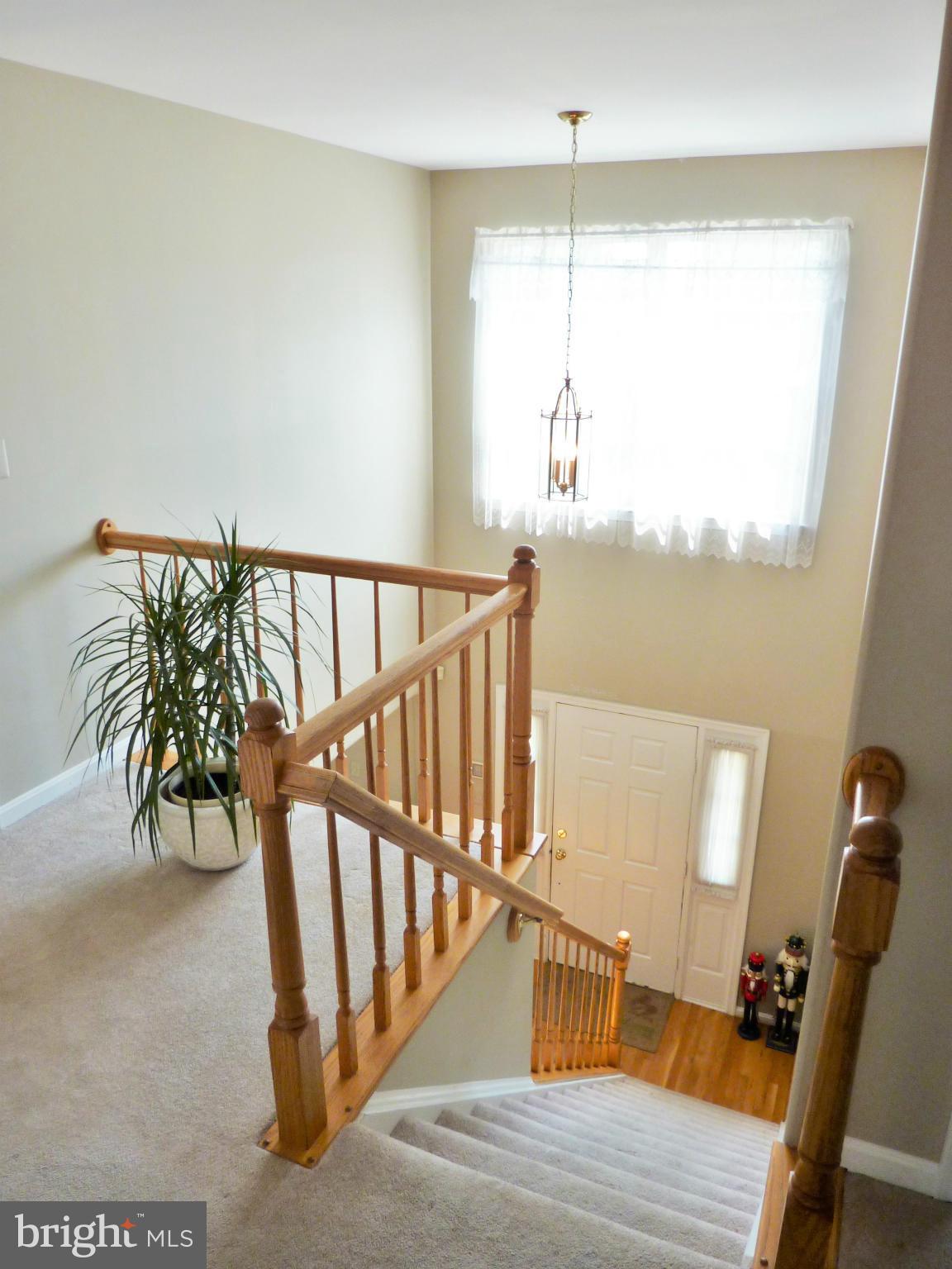 PINEBOROUGH ESTATES - Residential