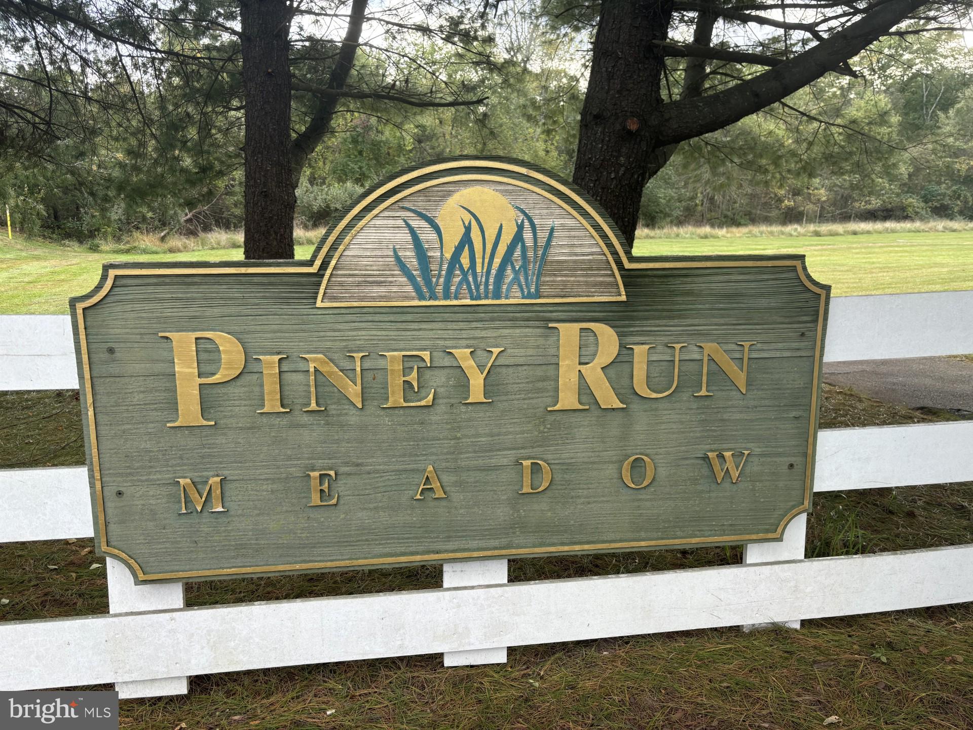 PINEY RUN MEADOW - Residential