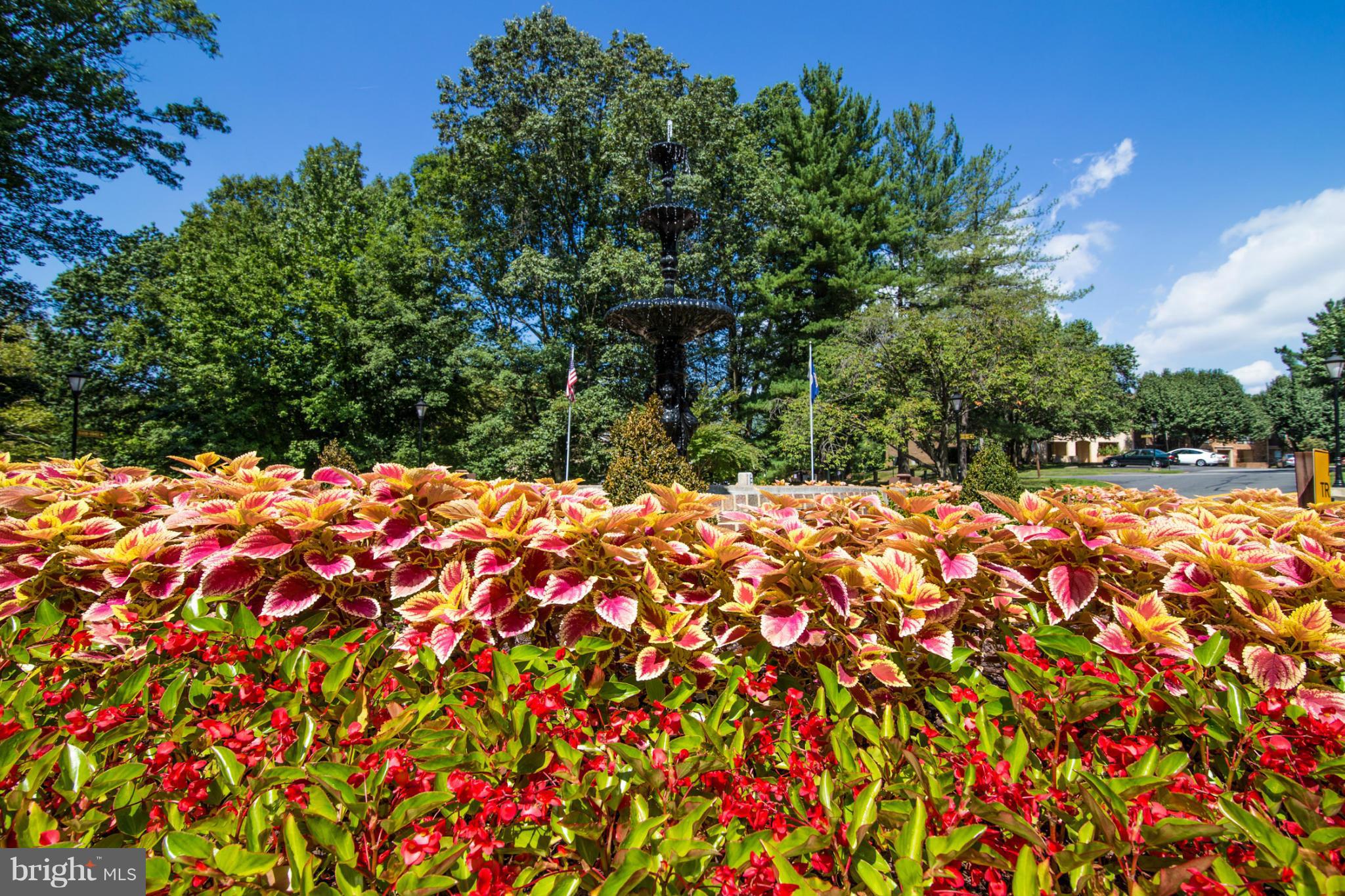 BURKE COVE - Residential