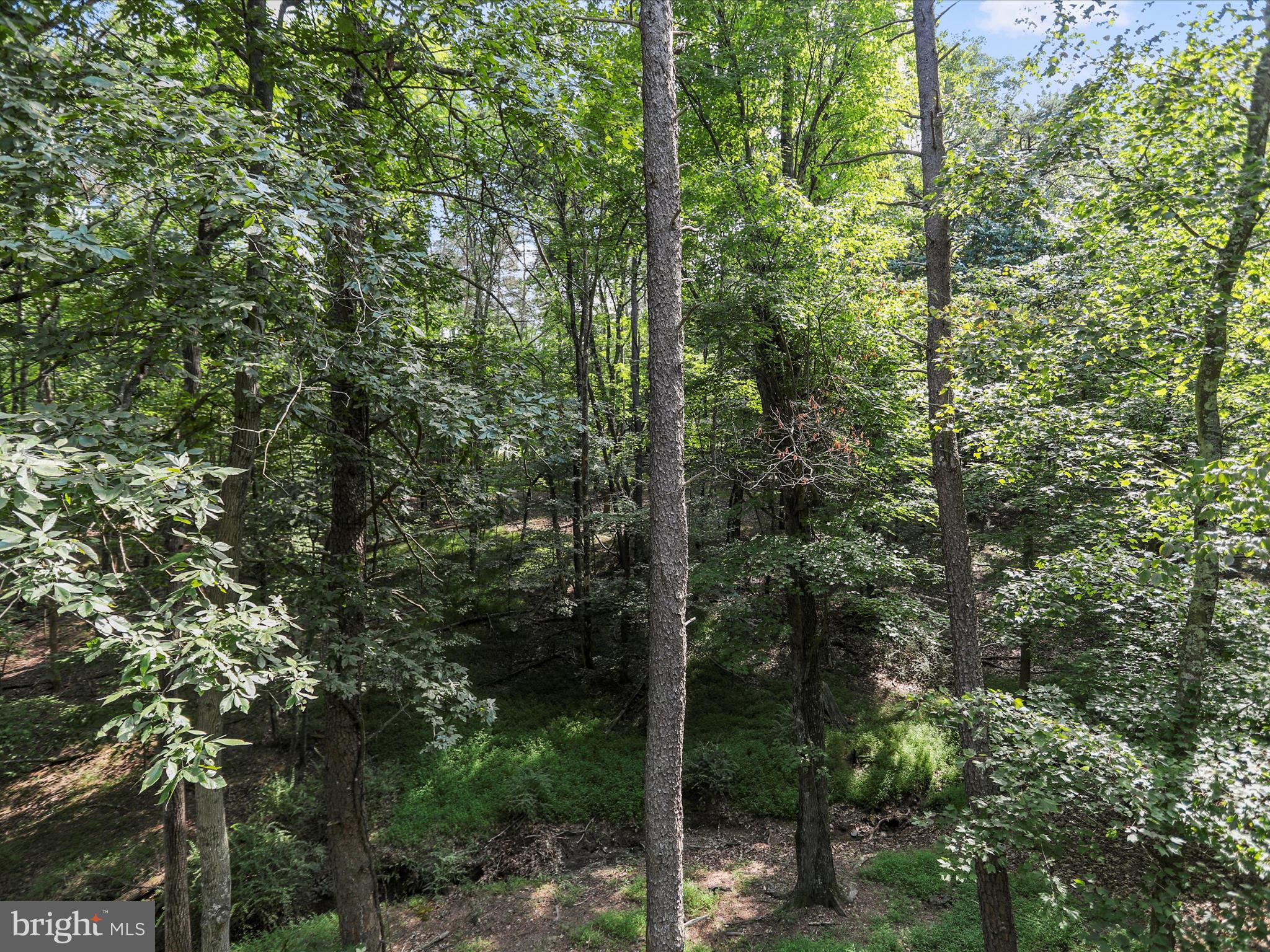 THE WOODS - Residential