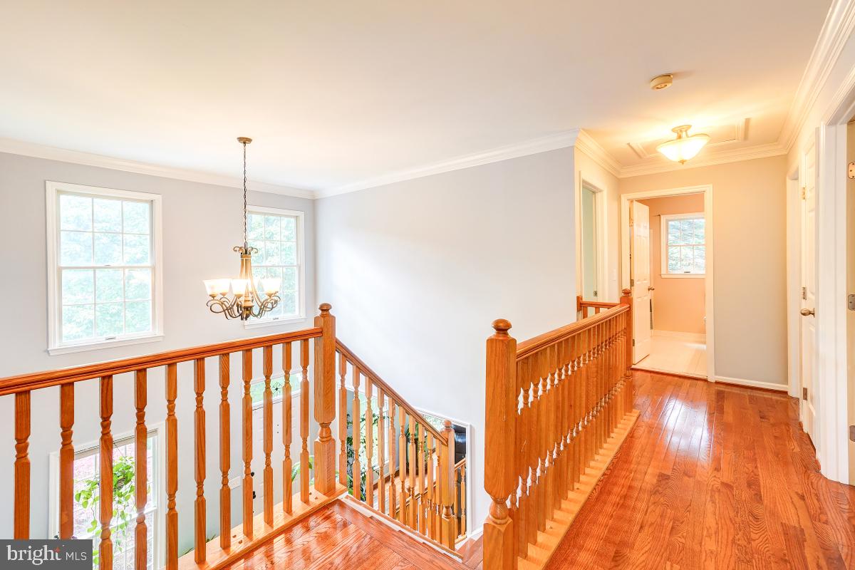 CASCADES - Residential