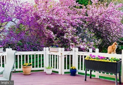 CASCADES - Residential