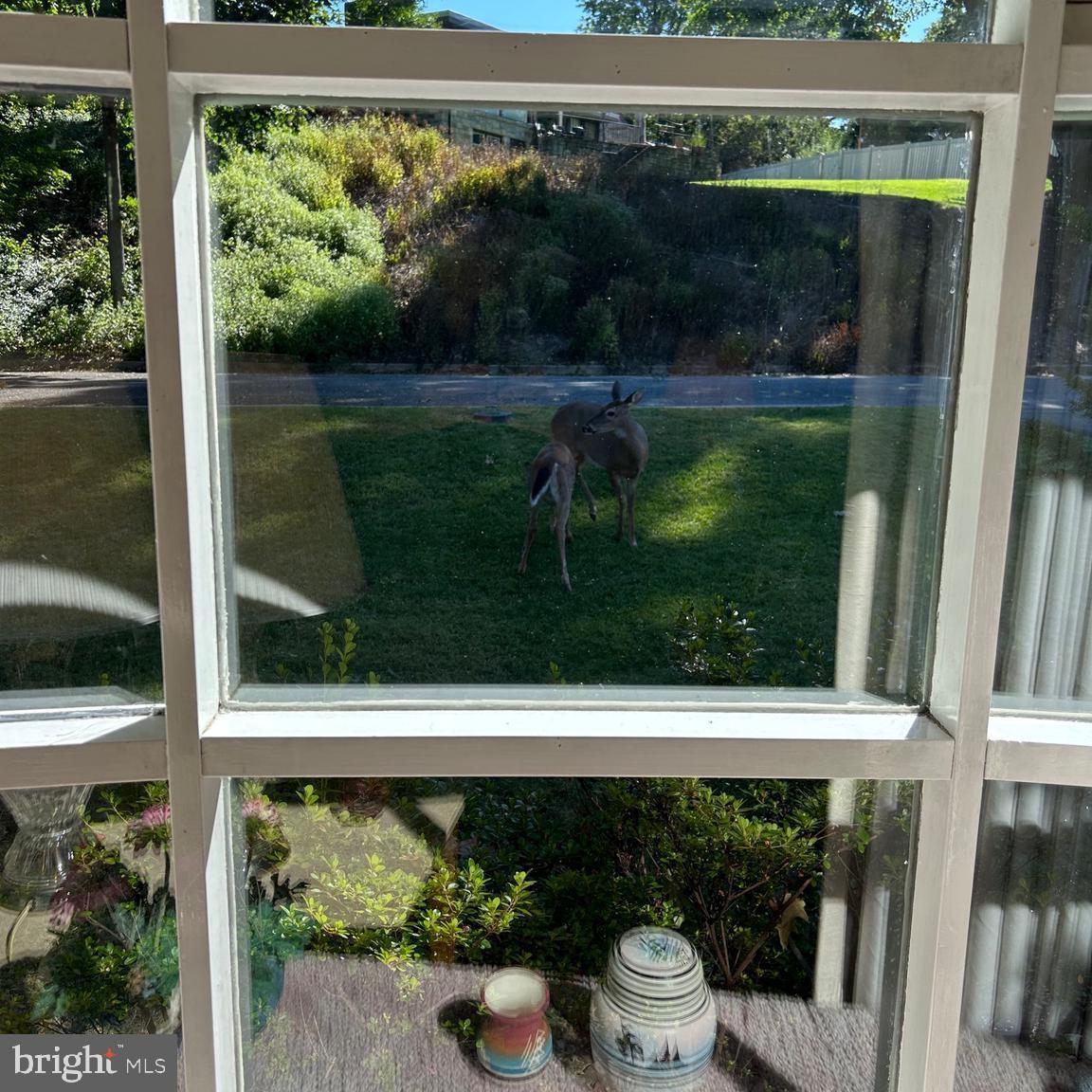 MUHLENBERG PARK - Residential