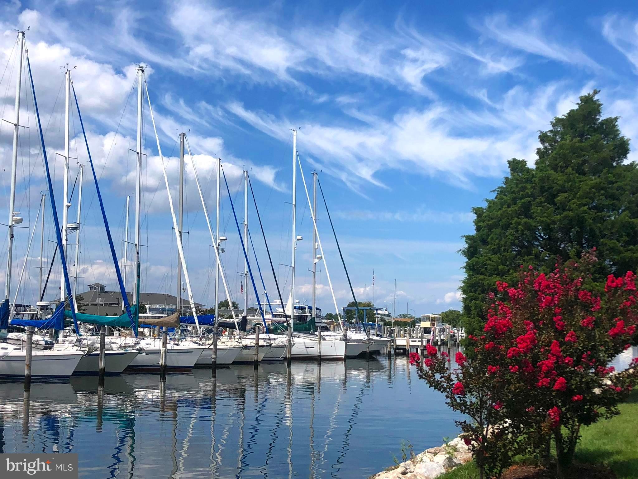 NARROWS POINTE - Residential