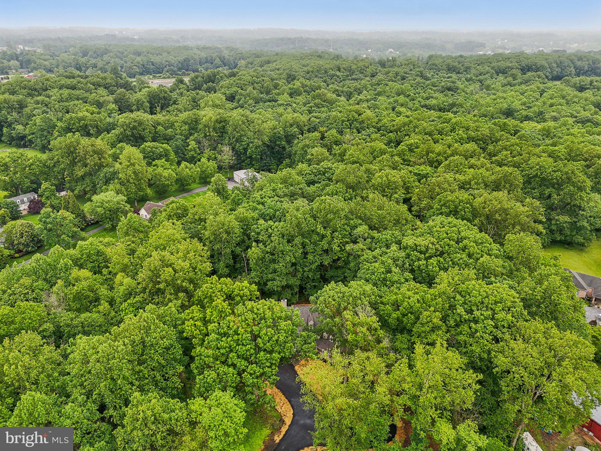 PEDDICORDS BANTER - Residential