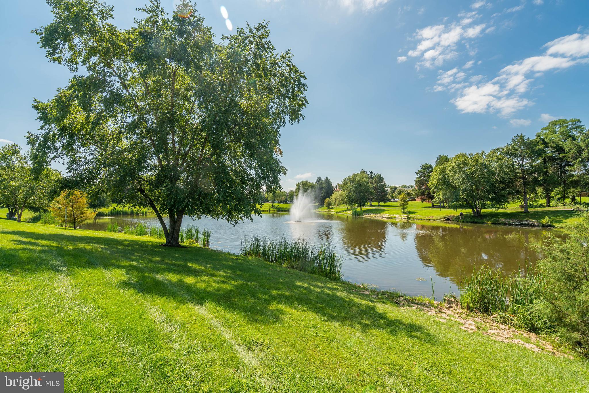 ASHBURN FARM - Residential