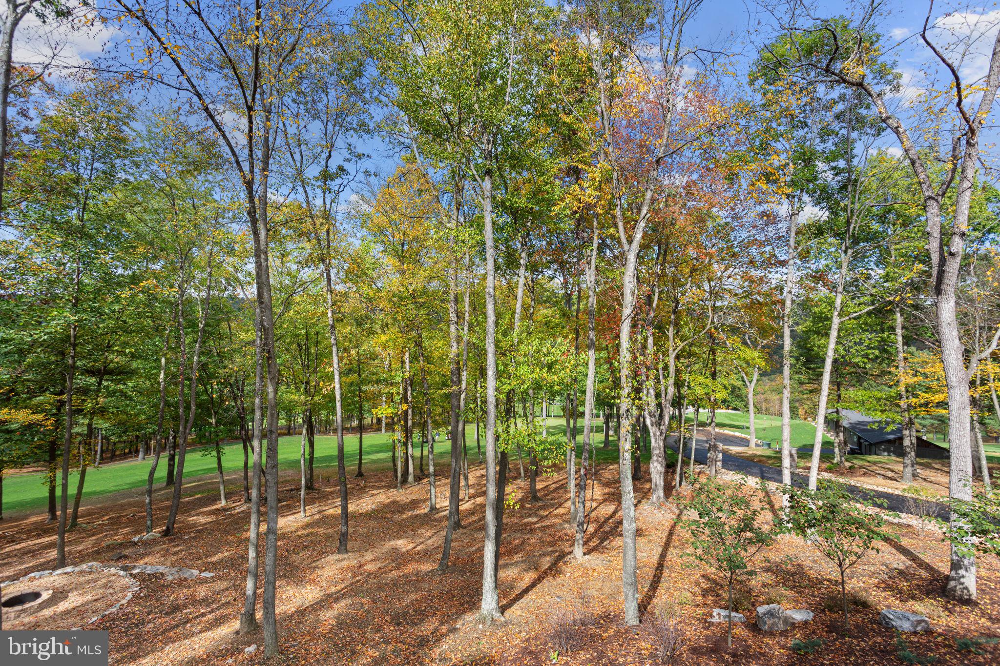 FISHER MOUNTAIN GOLF CLUB & RESORT - Residential