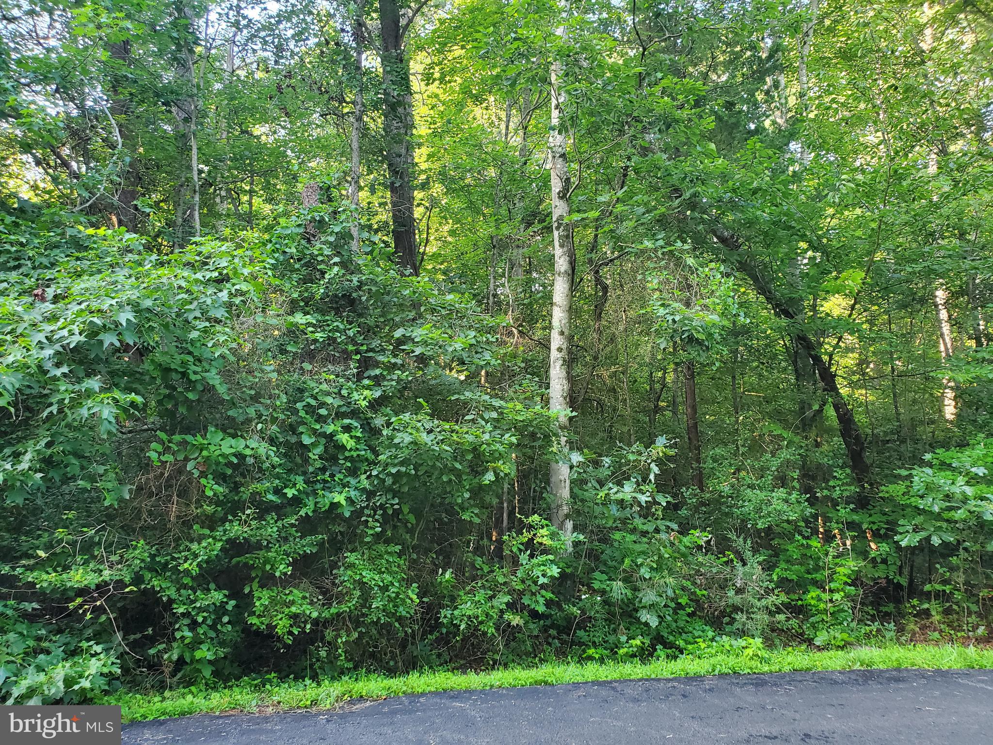 45493 DEER CROSSING LANE