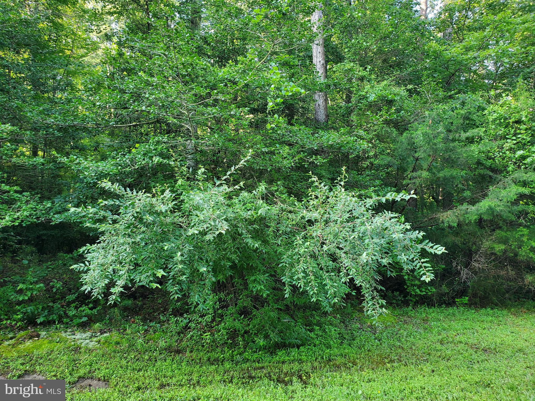 45493 DEER CROSSING LANE