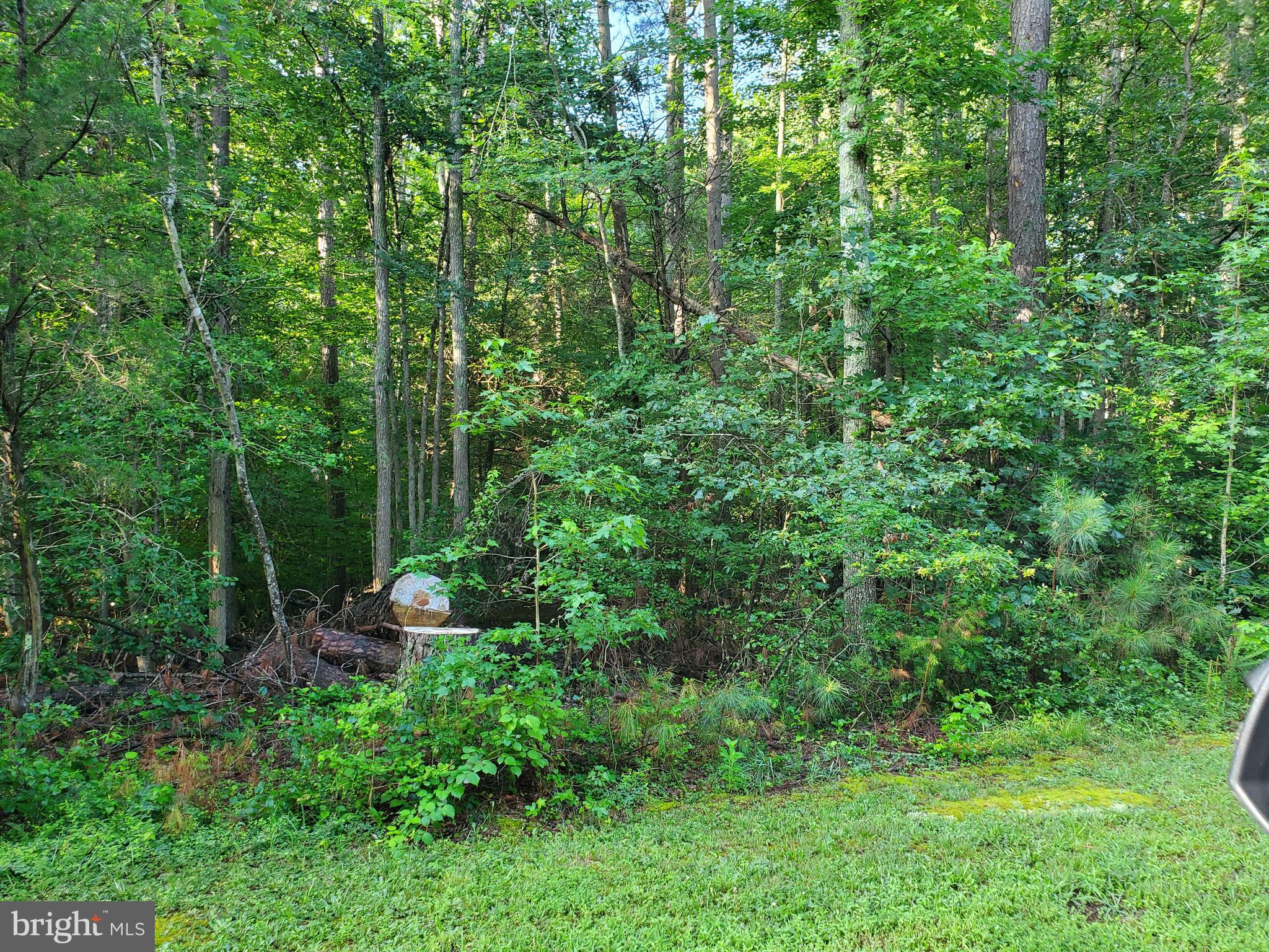 45493 DEER CROSSING LANE