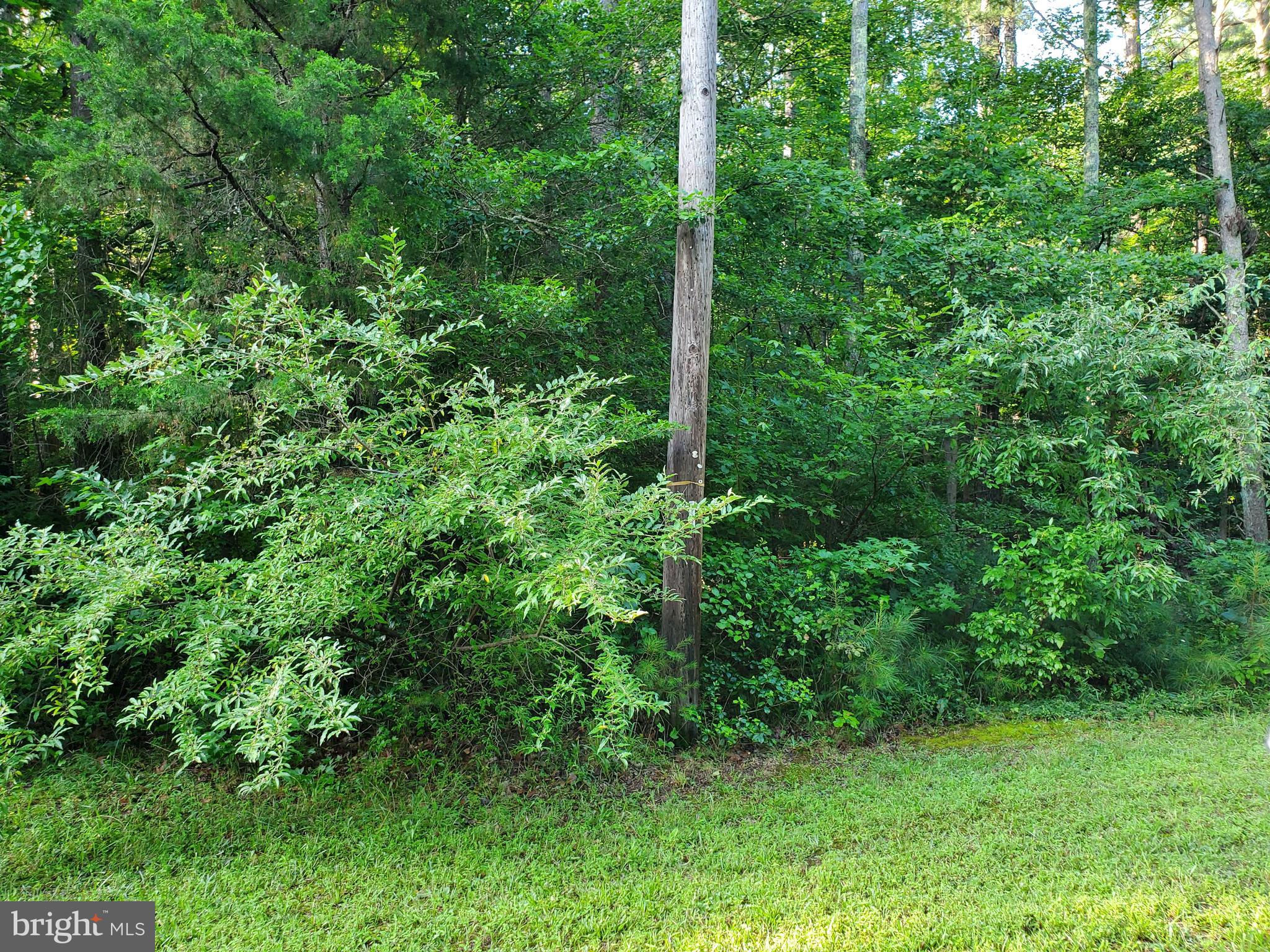 45493 DEER CROSSING LANE