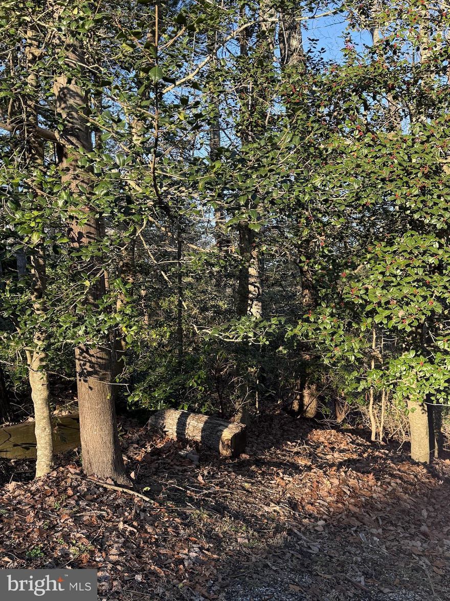 Build your dream home on this beautiful wooded lot tucked away on a quiet cul-de-sac in Chesapeake Ranch Estates, just steps from Lake Lariat. Enjoy the privacy of mature trees while still being part of an amenity-rich community featuring multiple private beaches, walking trails, playgrounds, and a campground. Ideally located close to local dining, shopping, Calvert Cliffs State Park, and Patuxent River Naval Air Station (PAX River) for an easy commute. Public water hookup is available. There are no Health Department records of prior perc testing, giving a buyer a fresh opportunity to explore building options. A great opportunity to own land in a well-established community with so much to offer—don’t miss it!