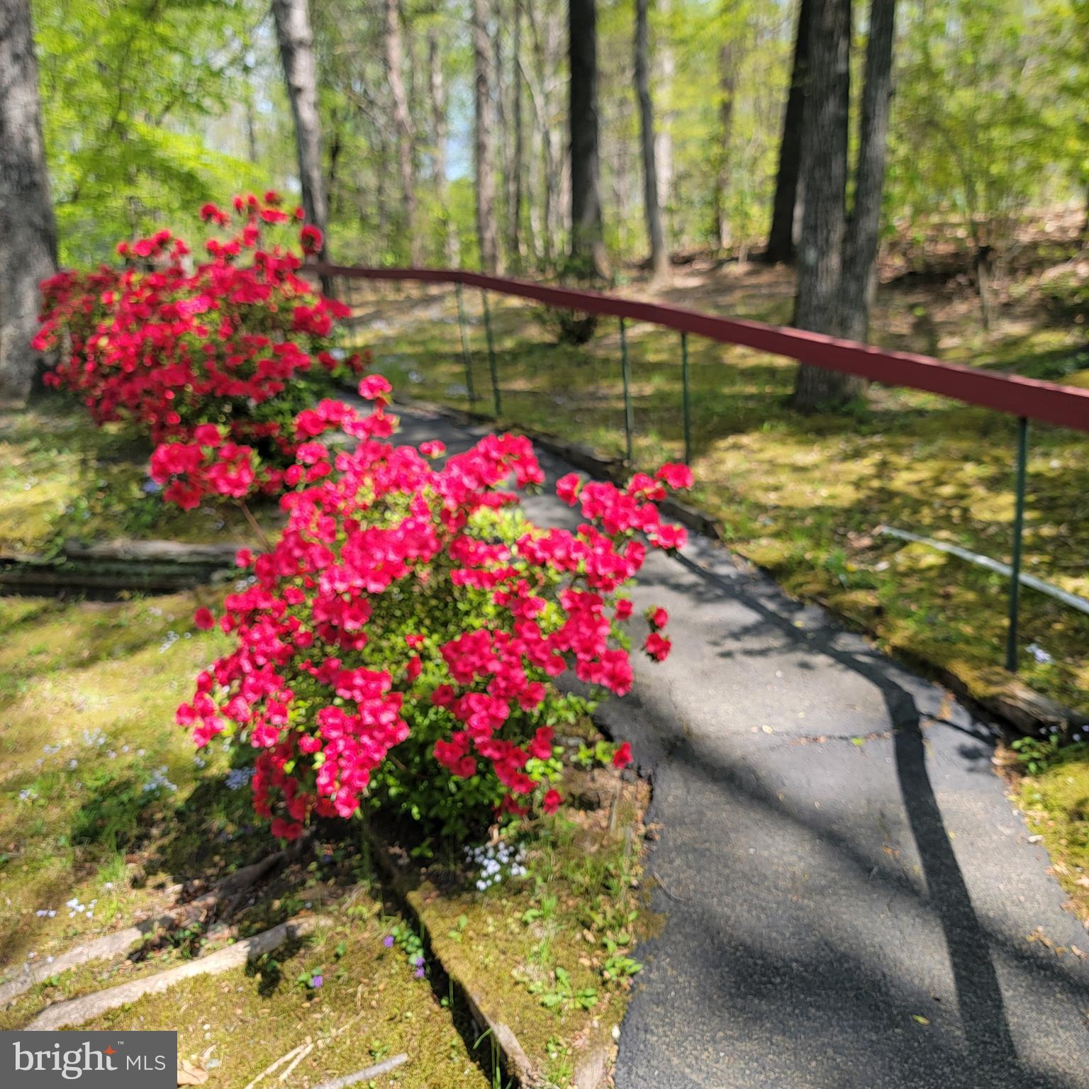 LAKE LAND OR - Residential
