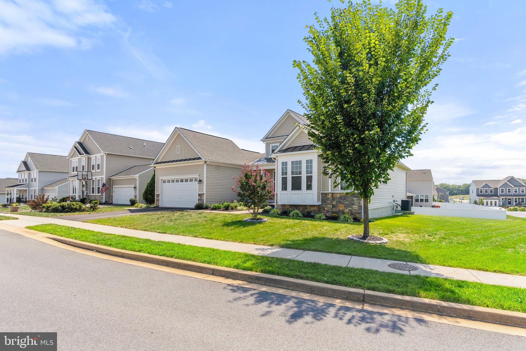 NORBORNE GLEBE - Residential