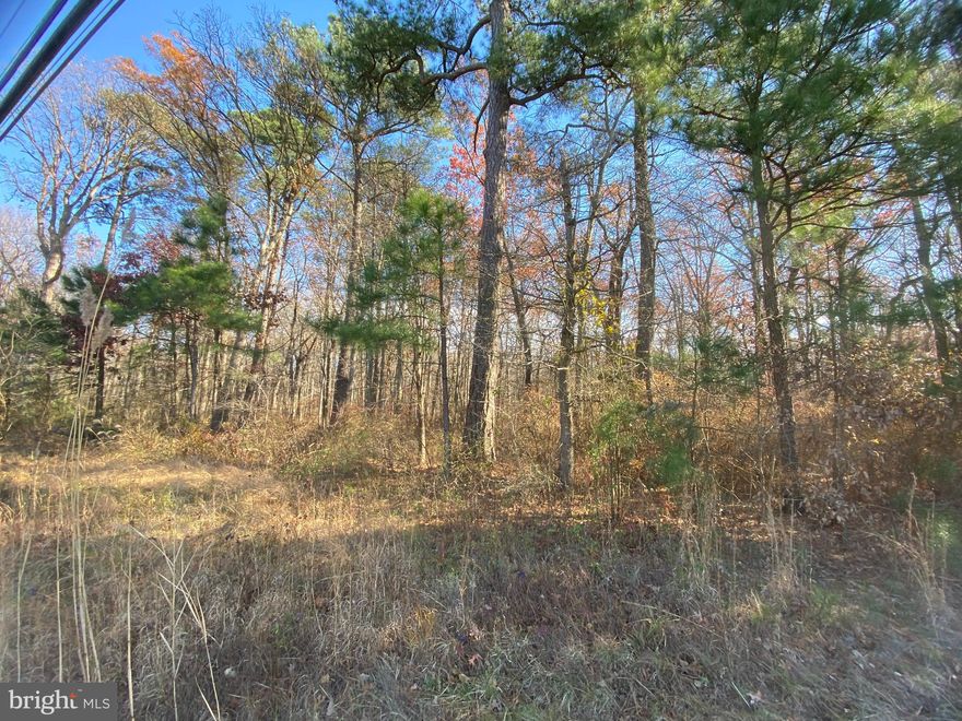 Great property to build your dream home on located close to stores, schools, walking trails, and minutes from the bridge for an easy commute.  This 21+ acre homesite has no builder tie in.  Enjoy loads of privacy, nature and wildlife. The property is on both sides of Blunt Marsh with Waterman Joe's property to the North and Mowbray Park to the South.  Property has been approved for a sand mound system.  Property cannot be subdivided.  There is an easement across the back side of the property away from the home location for the county to extend the Cross island trail.  Diagram is in the documents of the MLS