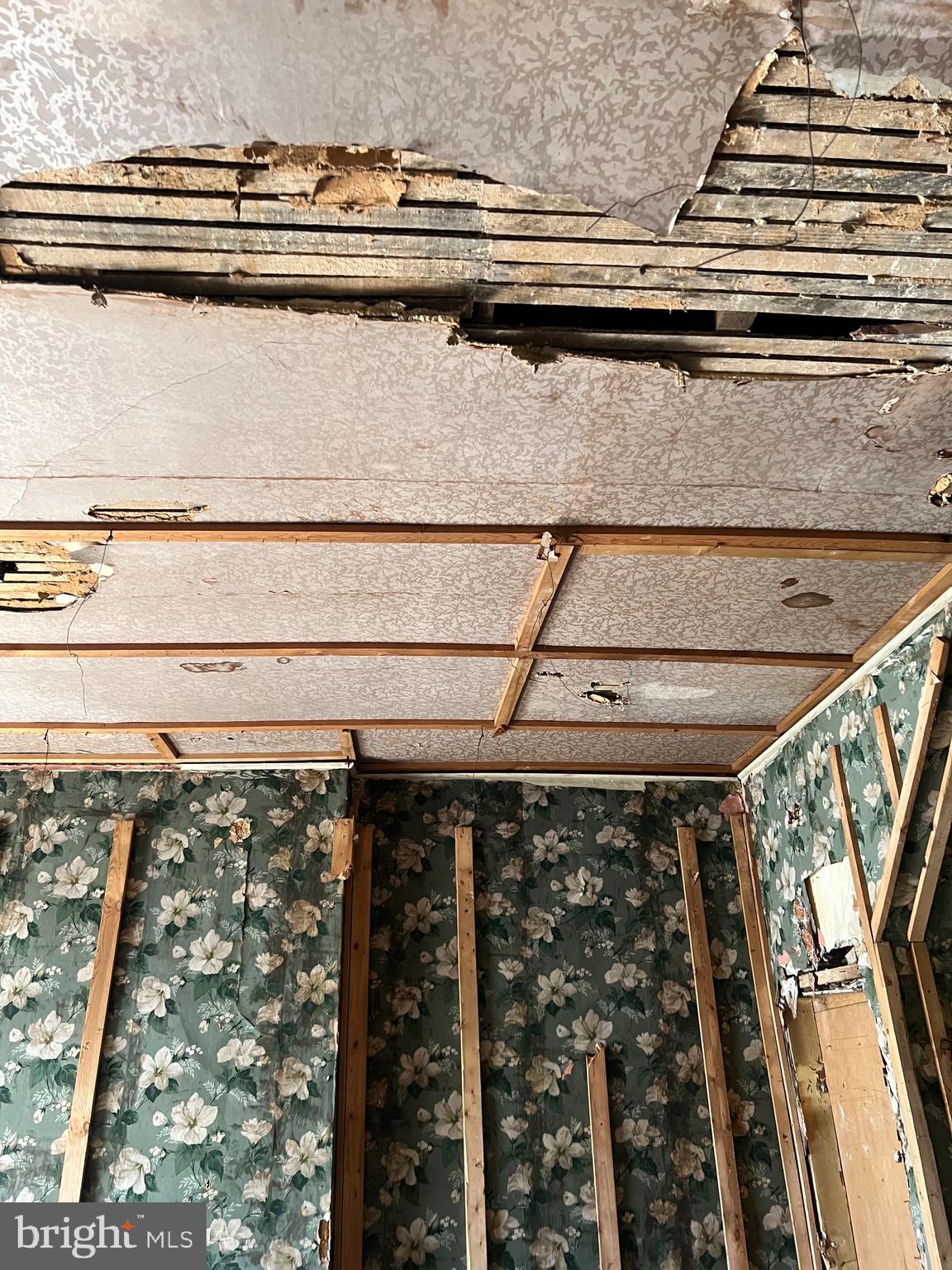 BEREA-BIDDLE STREET HISTORIC DISTRICT - Residential