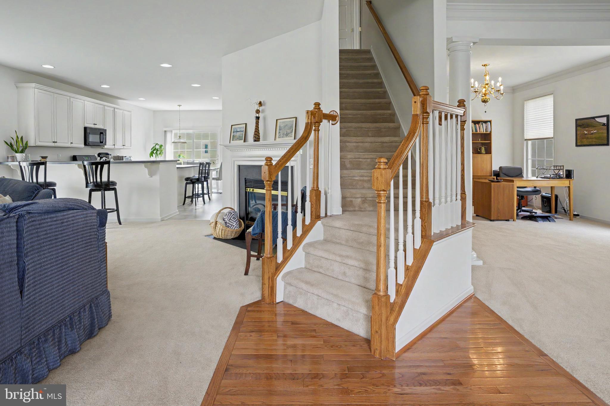 338 CARLISLE DRIVE