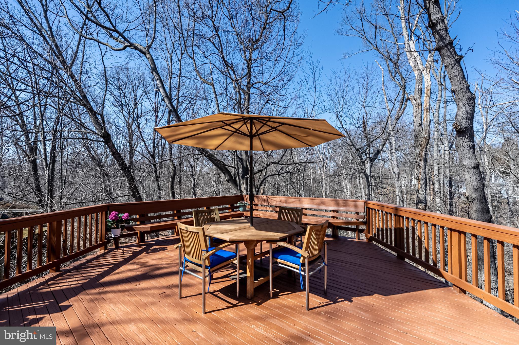 WOLF TRAP WOODS - Residential