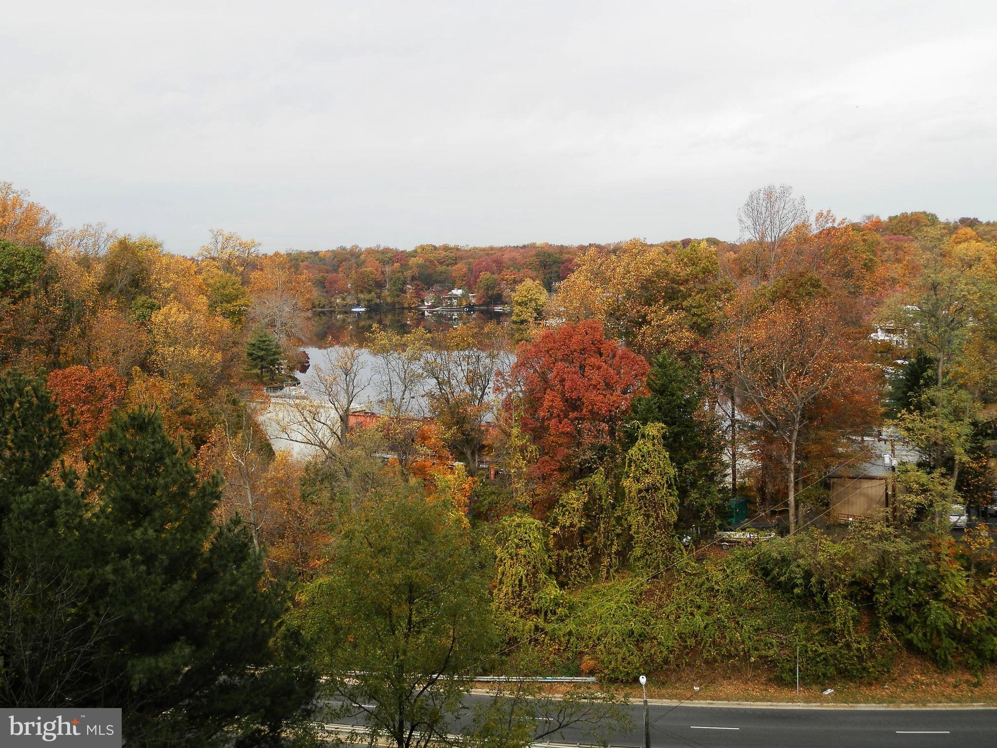 LAKESIDE PLAZA - Residential Lease