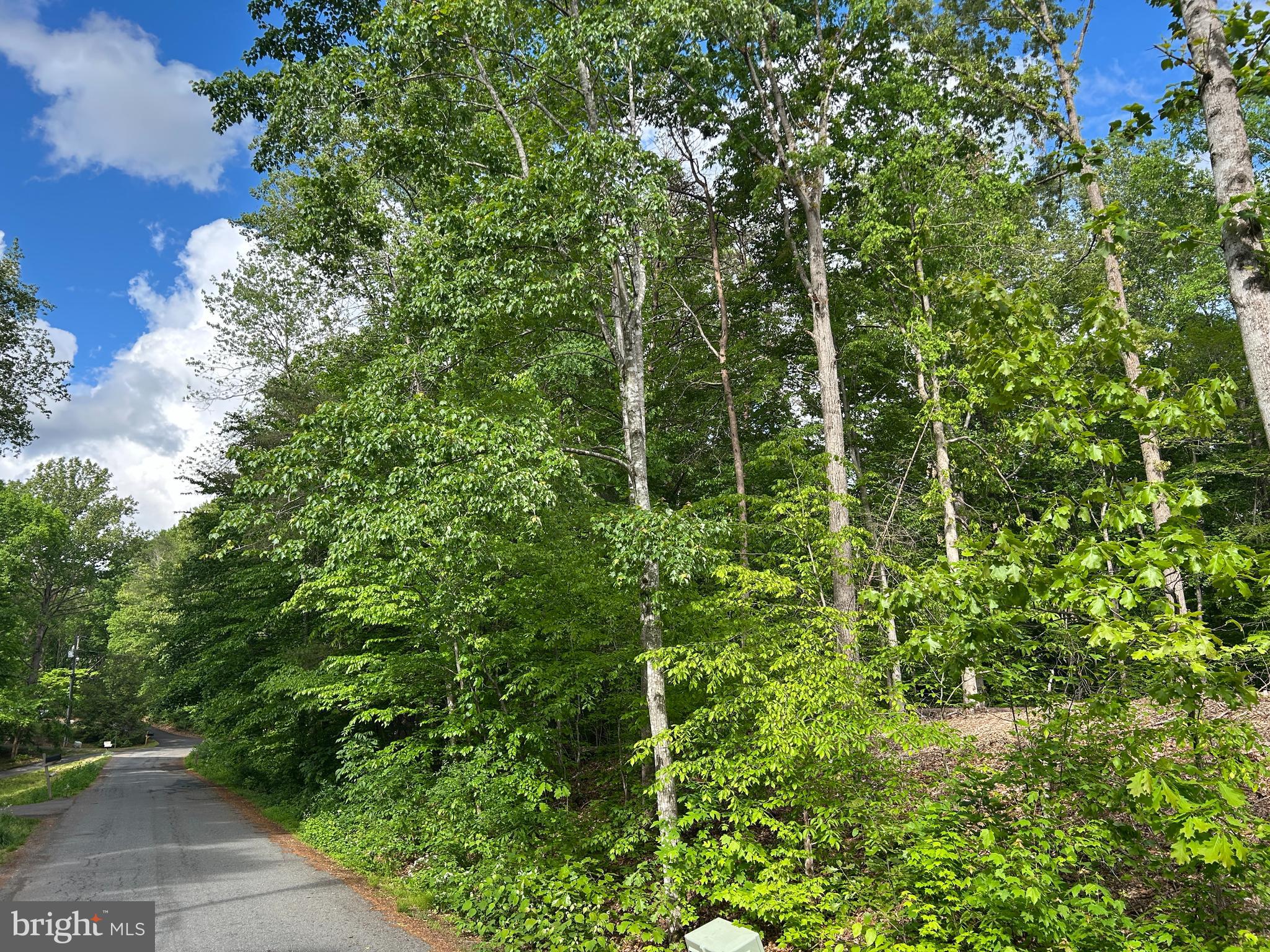 12009 PARKRIVER DRIVE