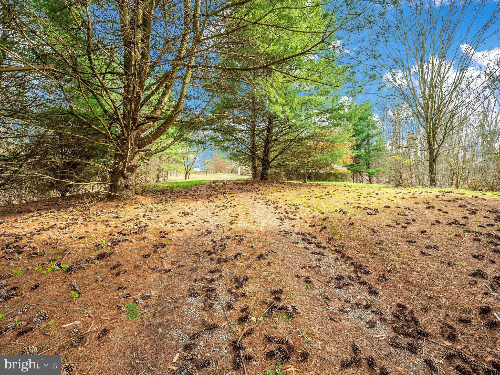 CHESTNUT GROVE - Residential