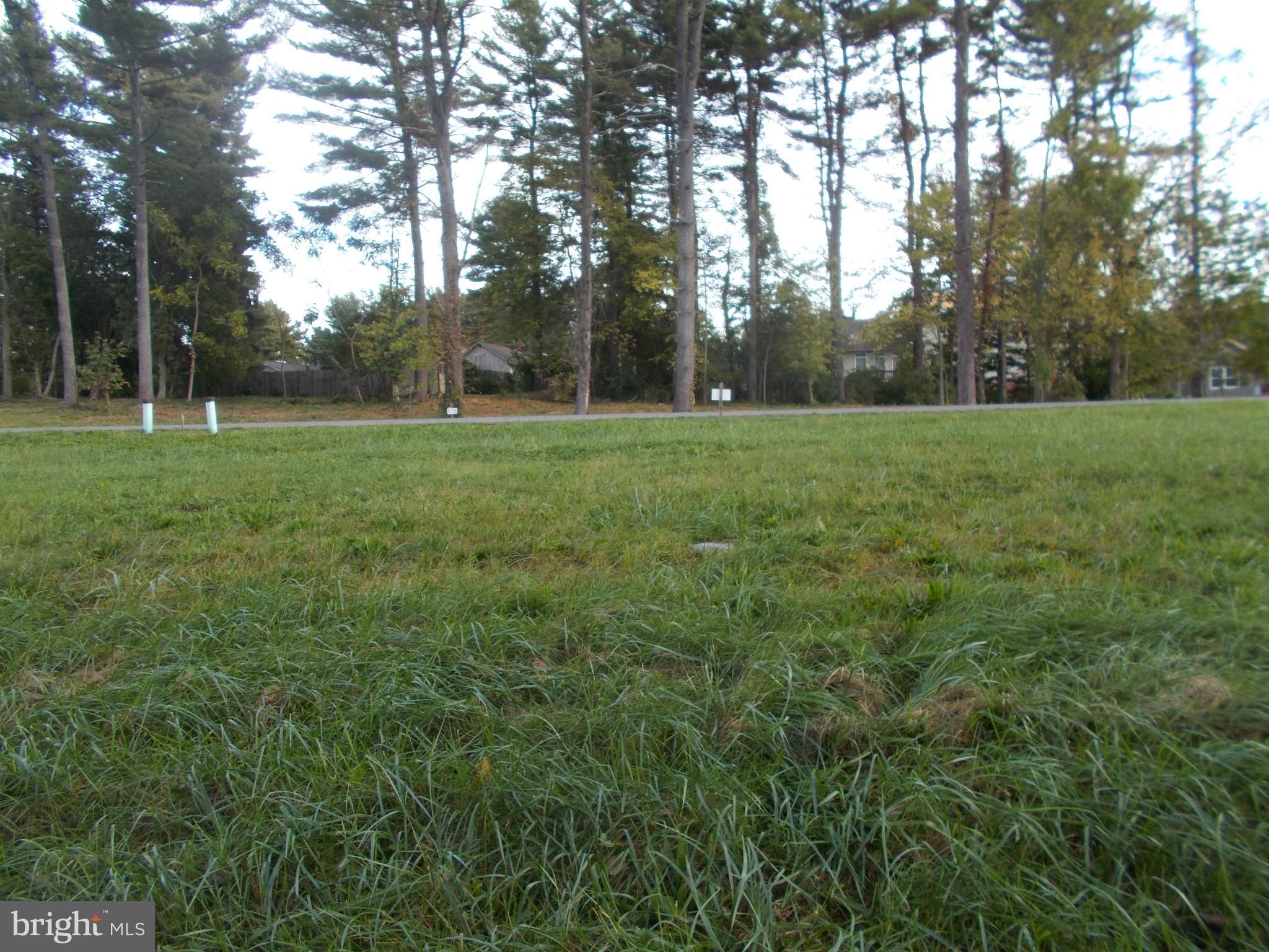 VAN LEAR MANOR - Land