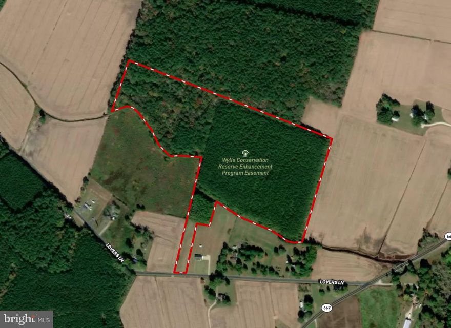 34.24+/-+/- acres of timber. Parcel is an Agricultural remainder and may not be developed. The east side of ownership was previously enrolled in CRP and has a stand of 25 year old pine. The west side of the ownership consists of hardwood/pine mix of different age classes. Home and 10+/- acres have been subdivided and kept by owner. See attached plat for boundary reference. Property is preserved under a Maryland Department of Natural Resources Easement. Access to the property is off of Lovers Lane. DO NOT ENTER PROPERTY WITHOUT PERMISSION OF THE LISTING AGENT.