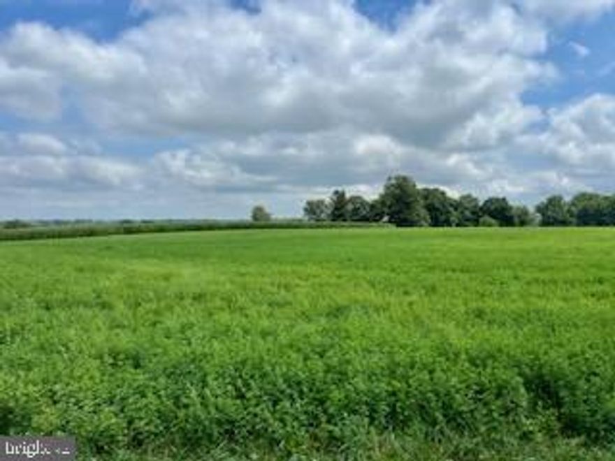 31 acres+/- with more land available. The property is situated close to a Rt 1 interchange and near the University. 
This tract is positioned well to be developed. Check with the township on zoning etc. Seller willing to await approvals / zoning variance within reason. Public water available. Property in Act 319