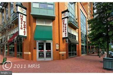 FAIRLINGTON GREEN - Residential