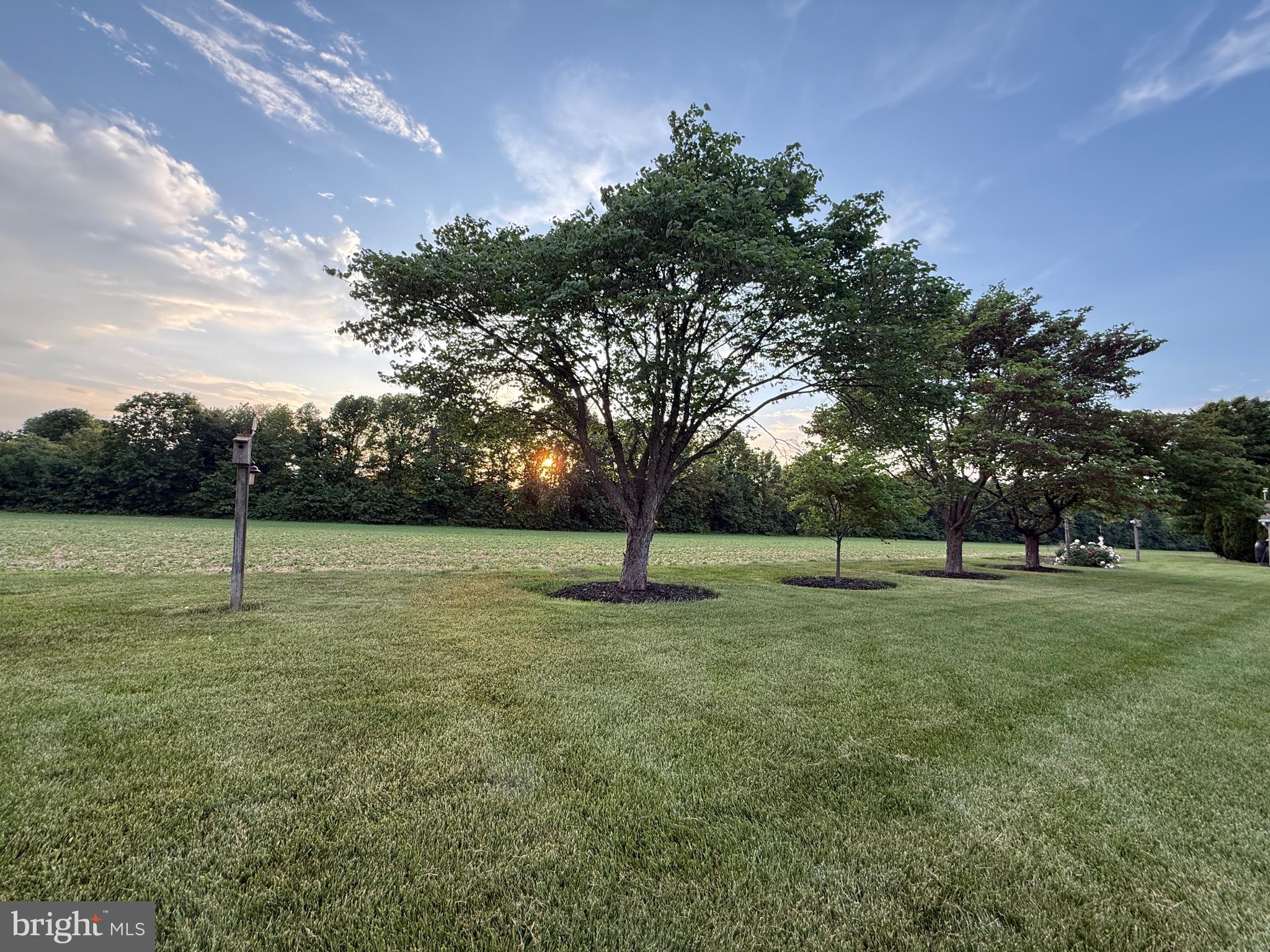 CLAIBORNE FIELDS - Residential