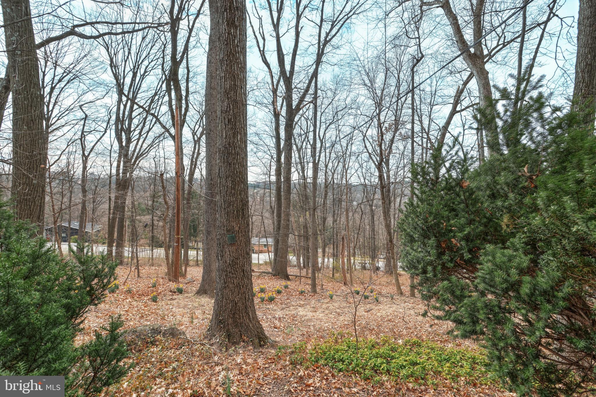 HILLCROFT - Residential