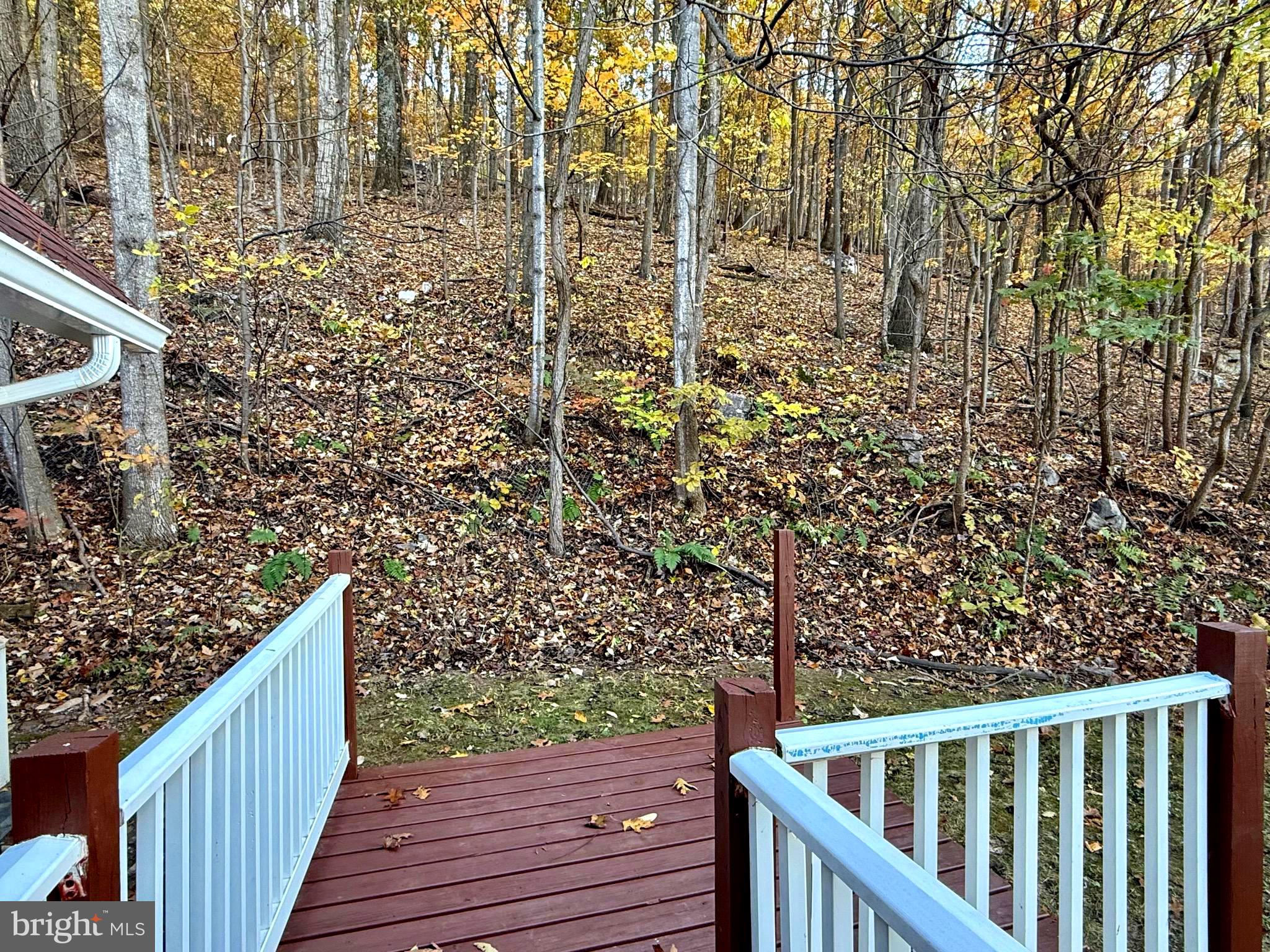 GLENWOOD FOREST - Residential