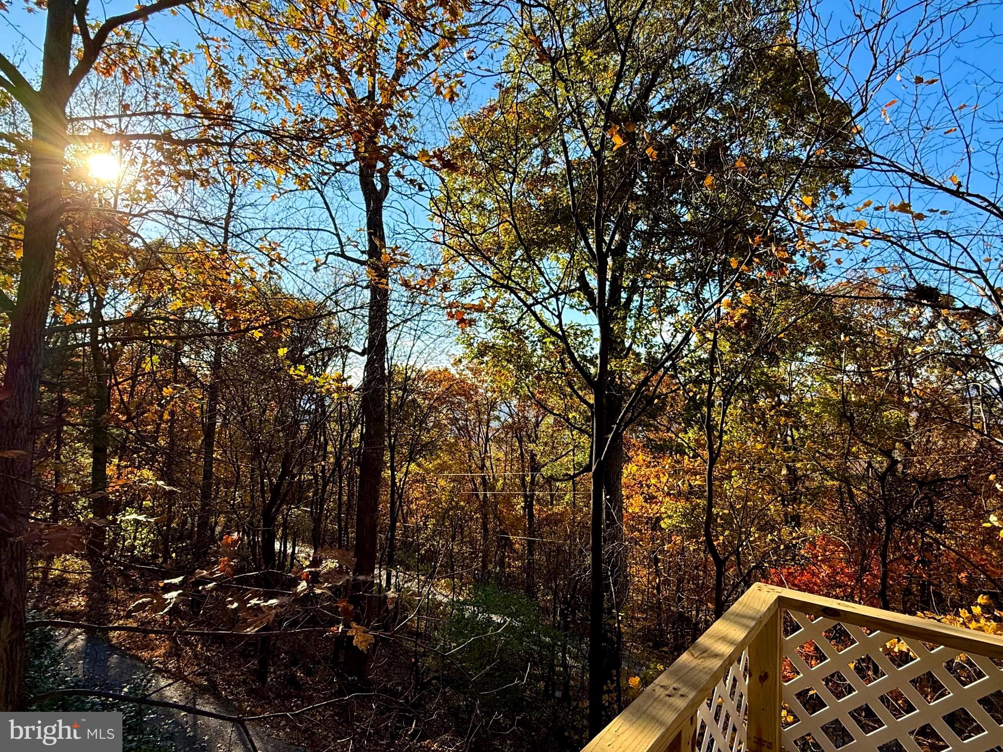 GLENWOOD FOREST - Residential