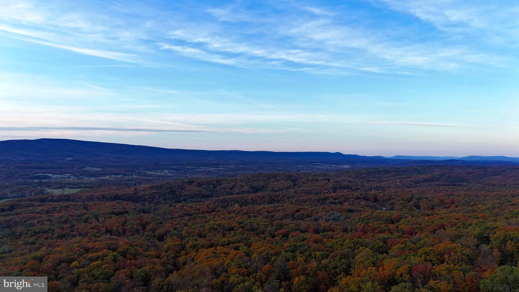 GLENWOOD FOREST - Residential