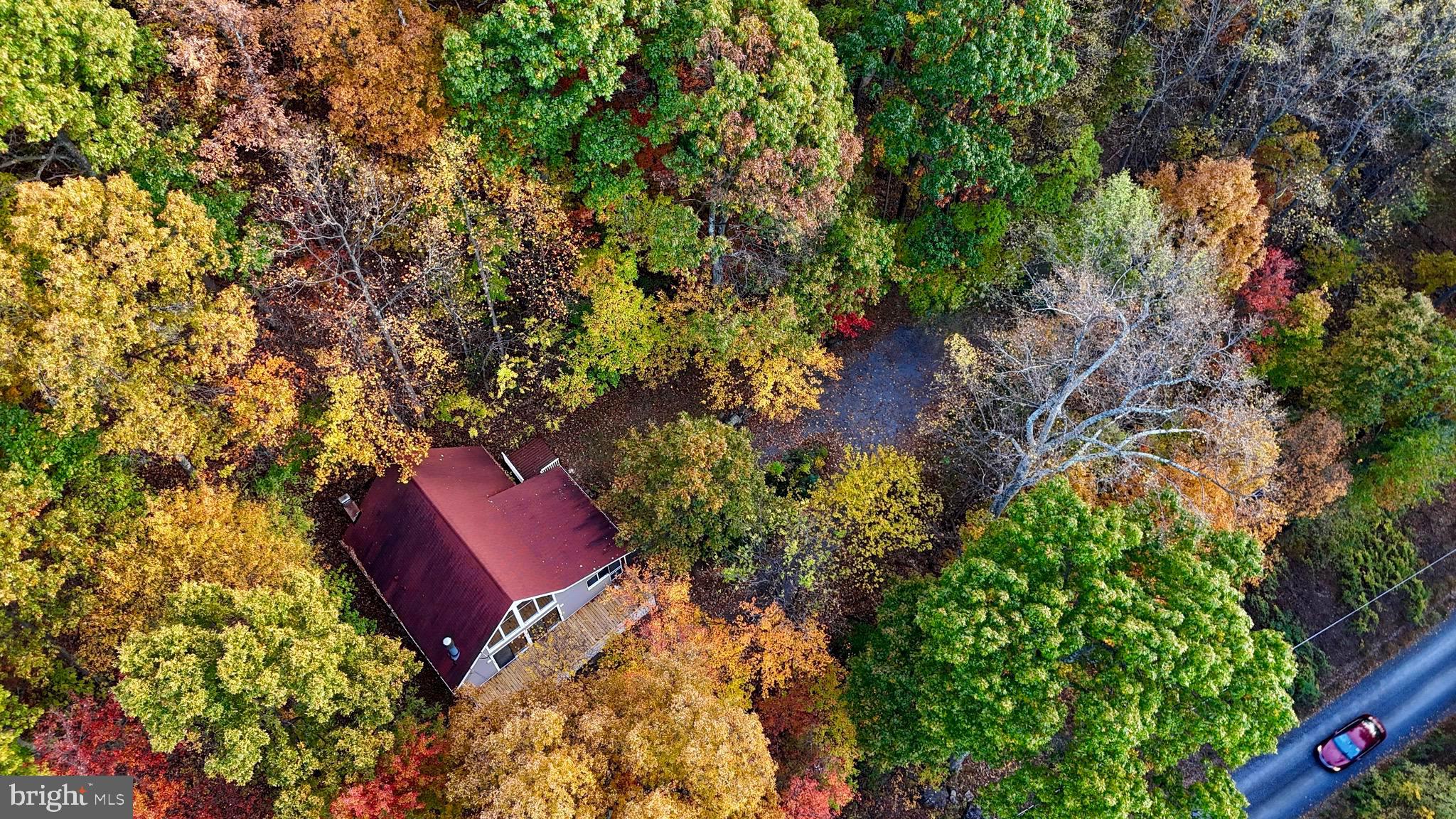 GLENWOOD FOREST - Residential