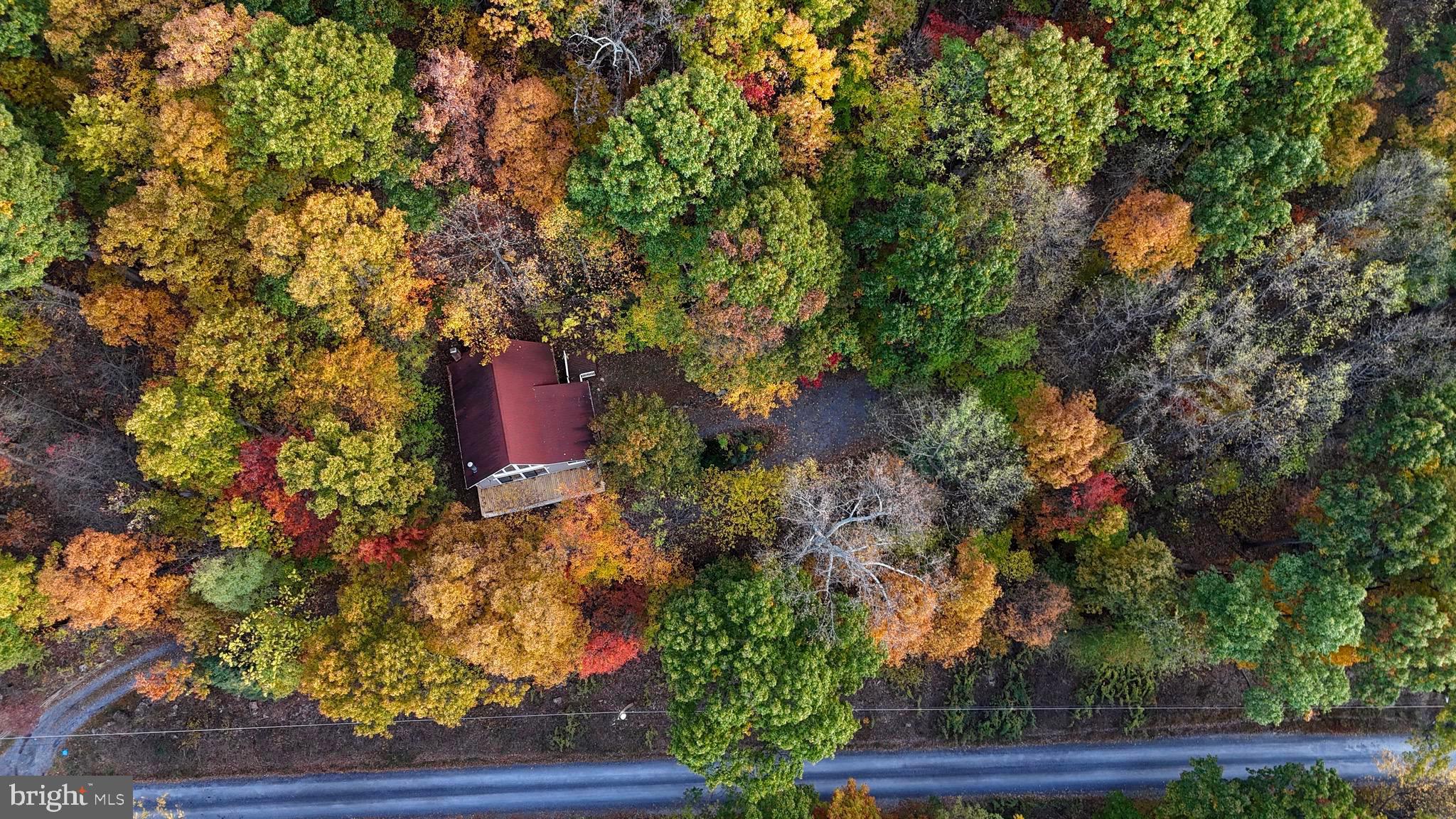 GLENWOOD FOREST - Residential