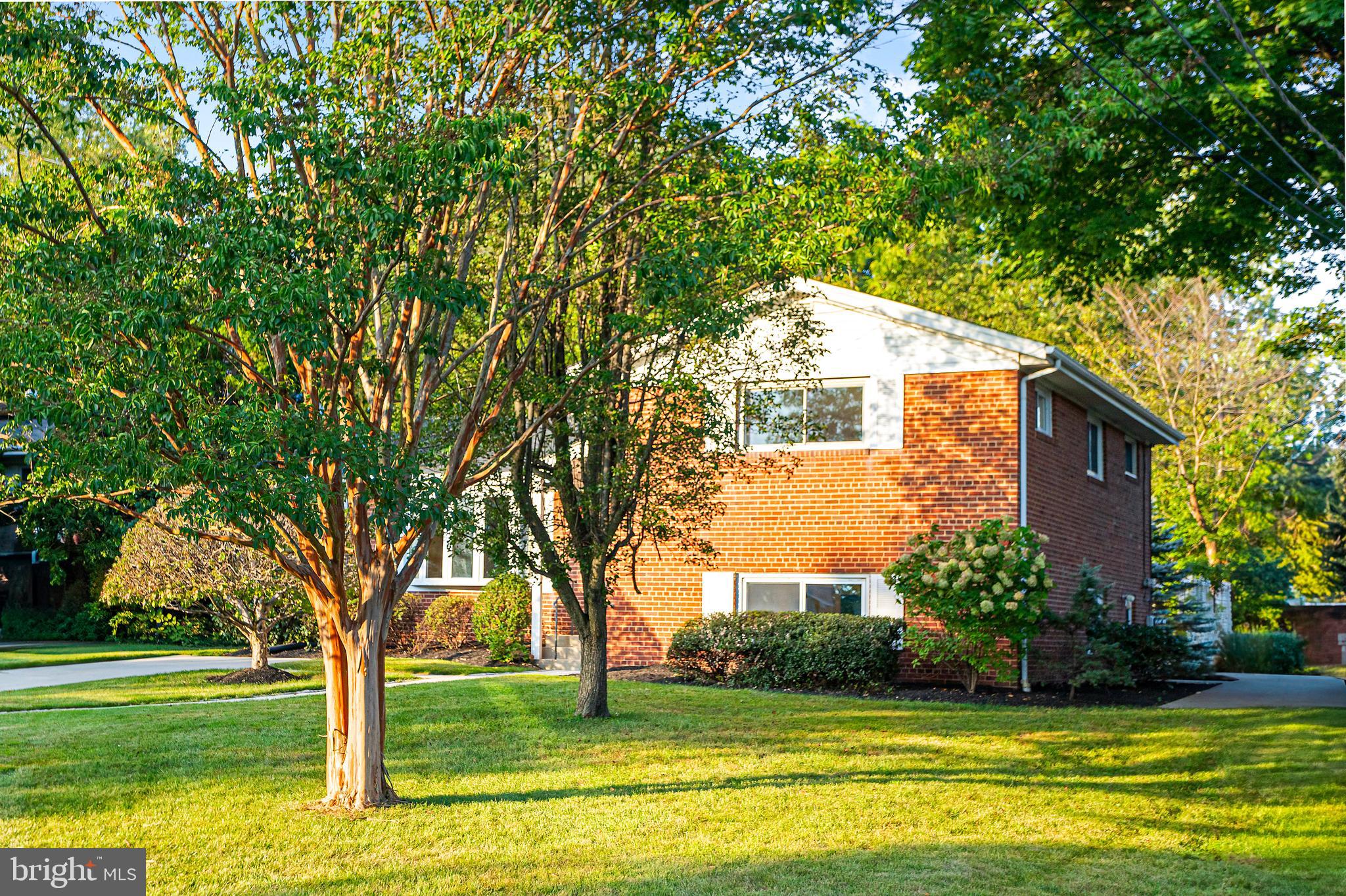 3607 SANDY COURT