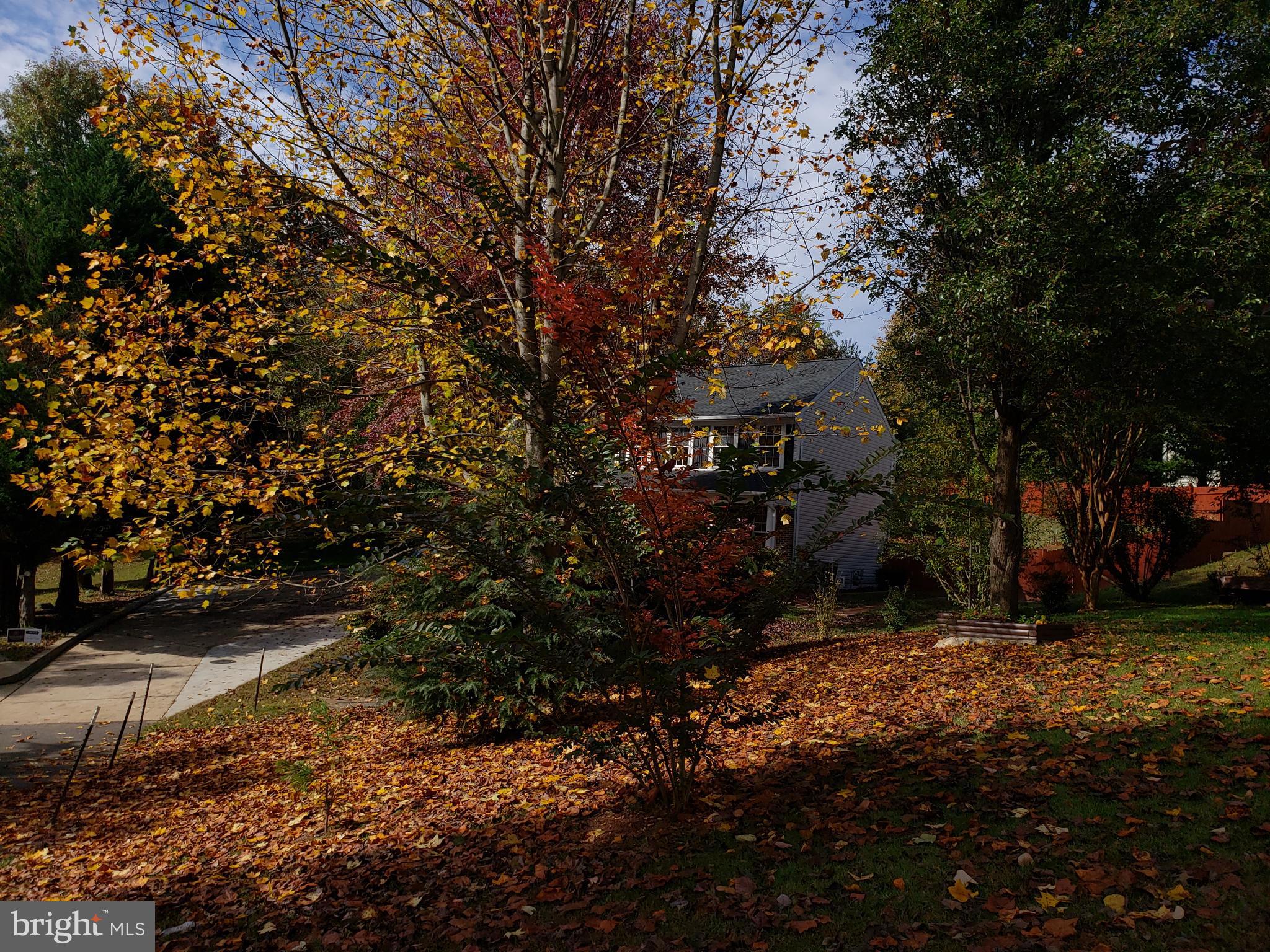 PEARSONS LANDING - Residential