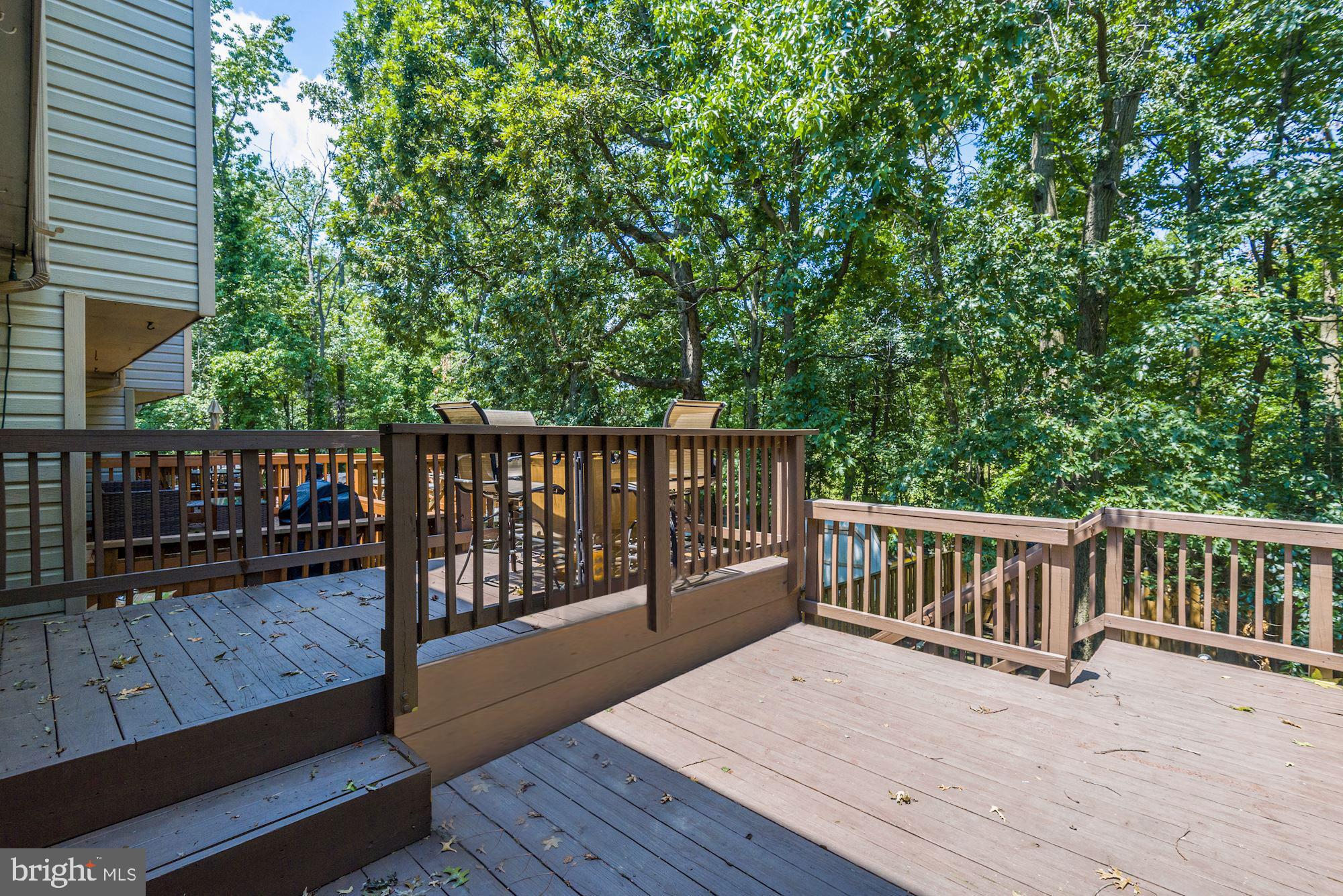 CHESTNUT HILL COVE - Residential