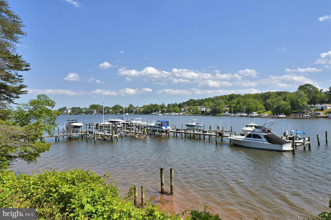 CHESTNUT HILL COVE - Residential